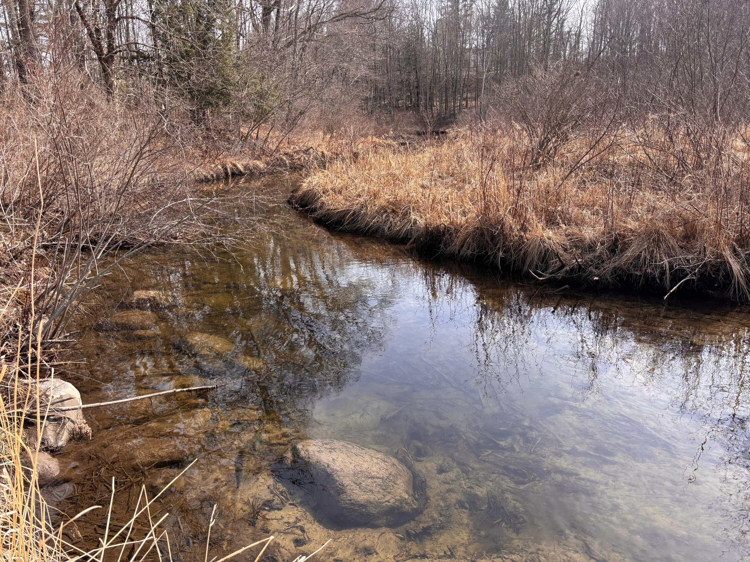 property viewer photo 24