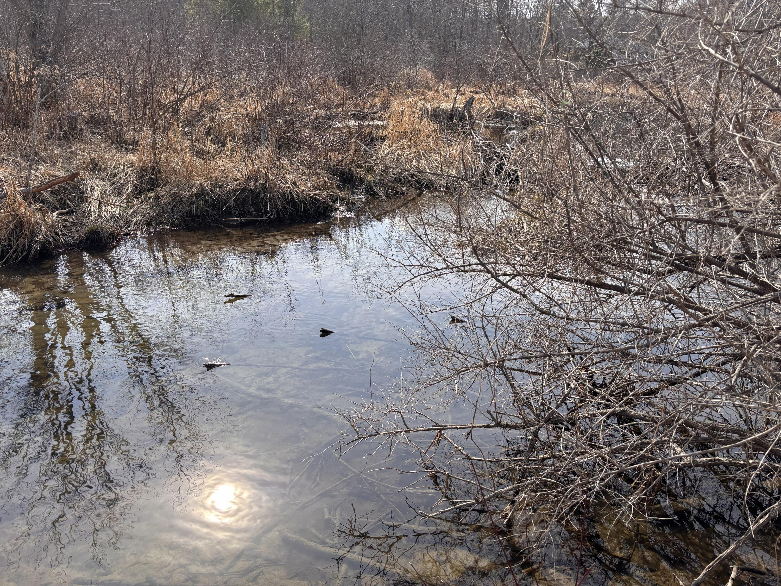 property viewer photo 25