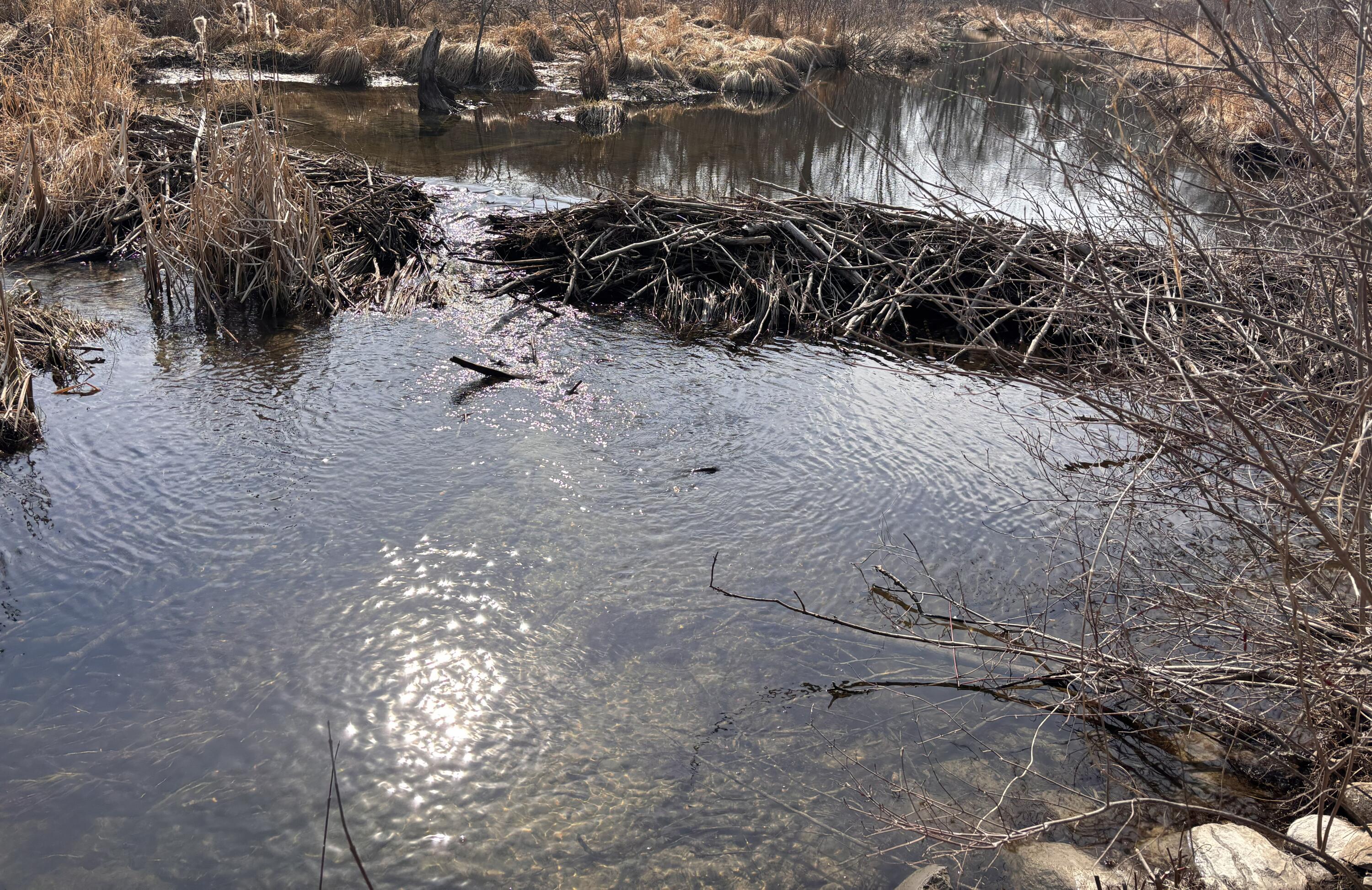 property viewer photo 27