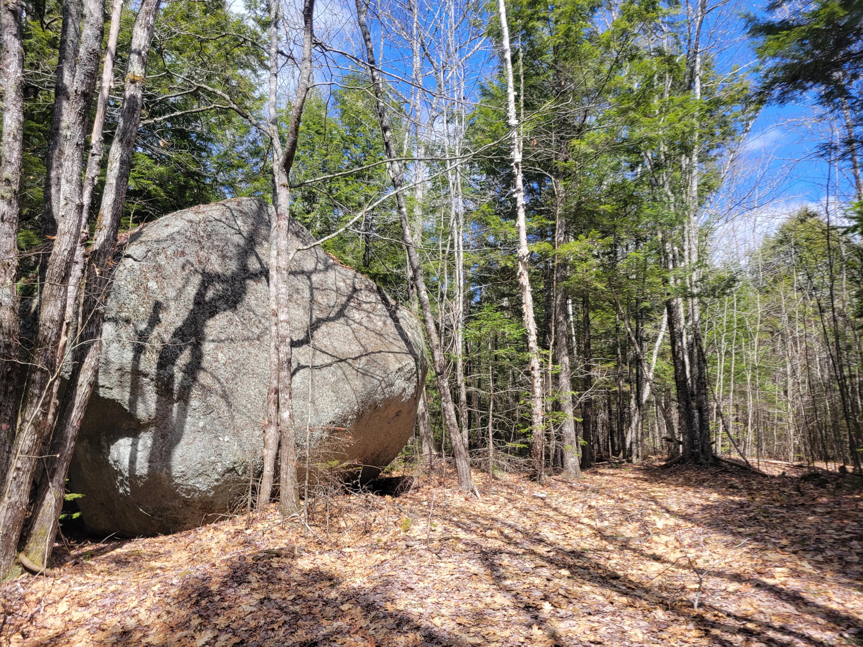 main property photo 14