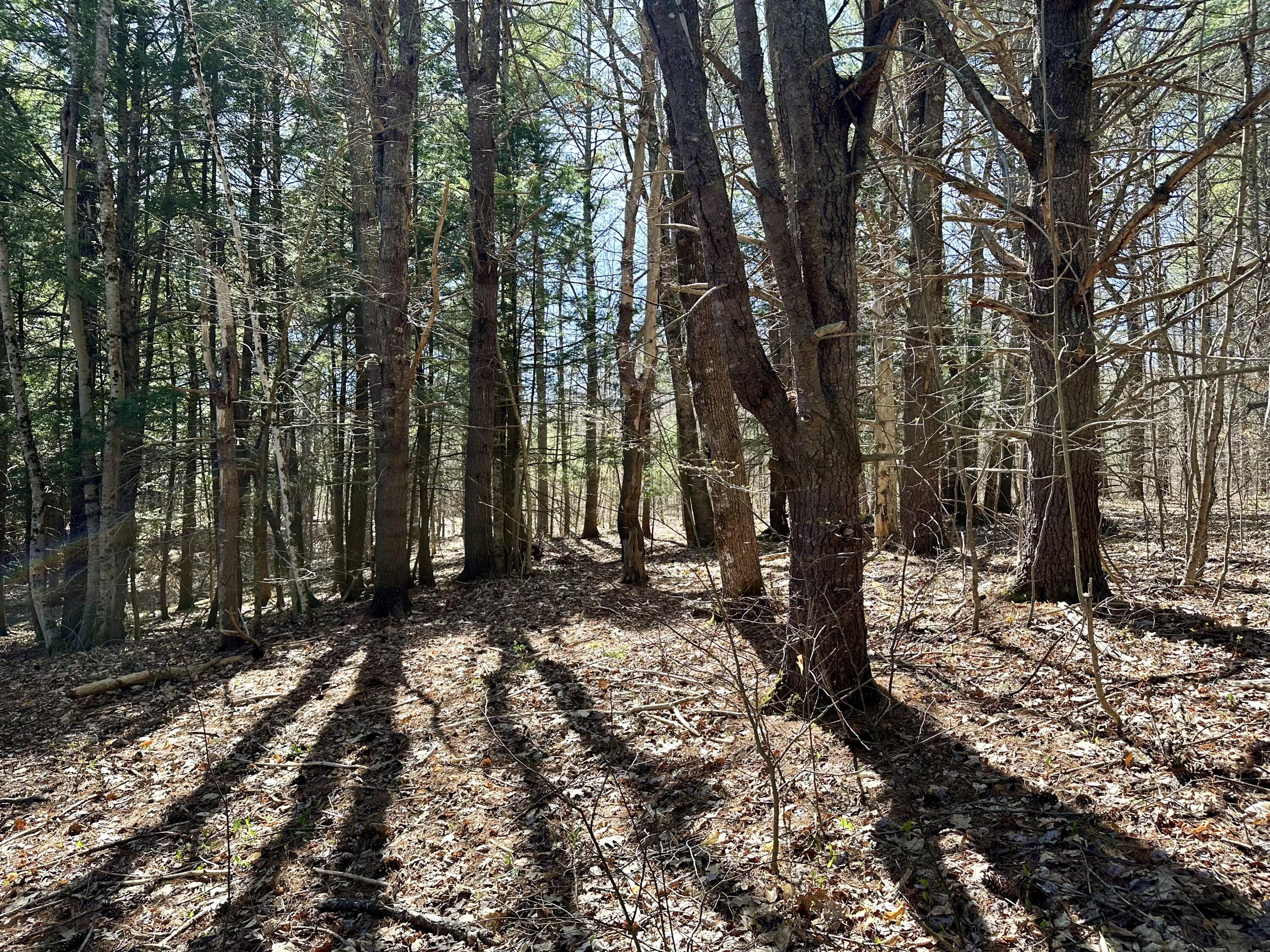 main property photo 68
