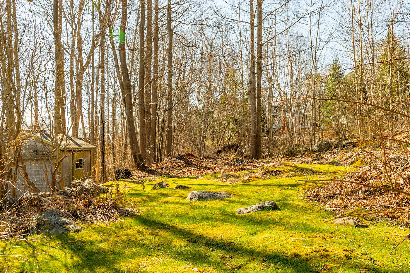 main property photo 68