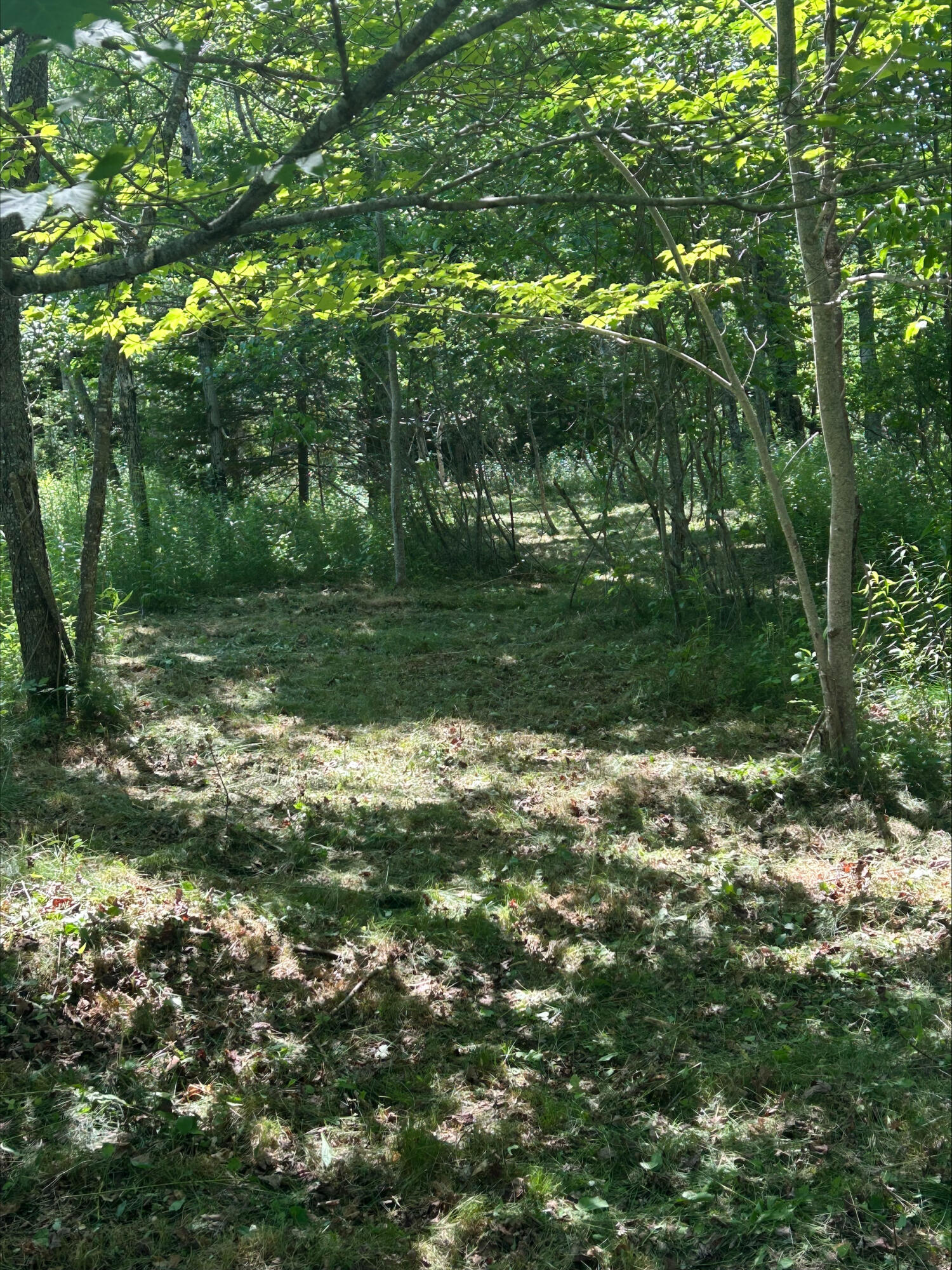 main property photo 54