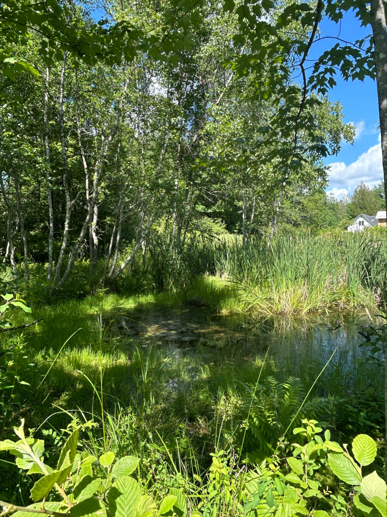main property photo 56