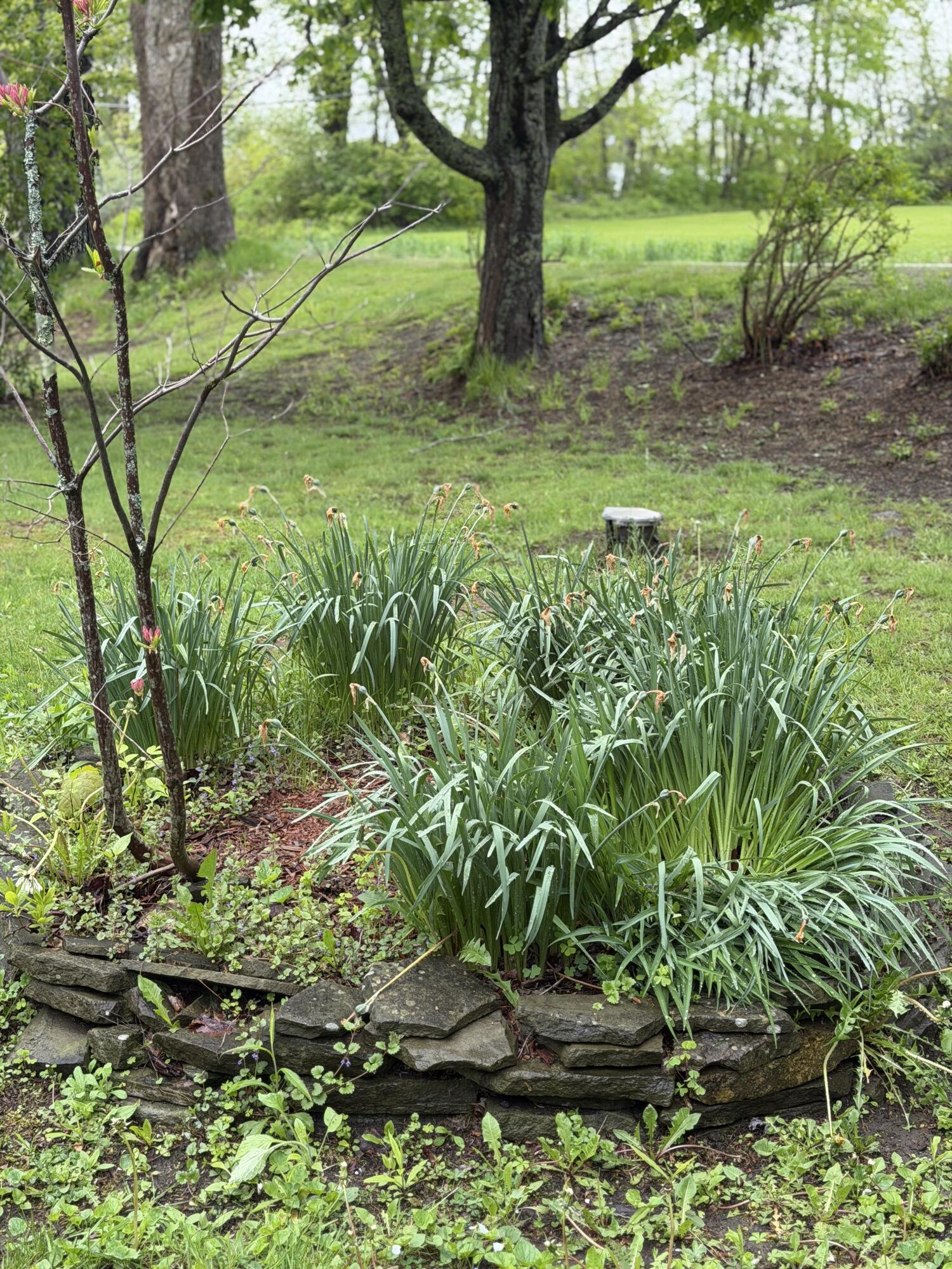 main property photo 42
