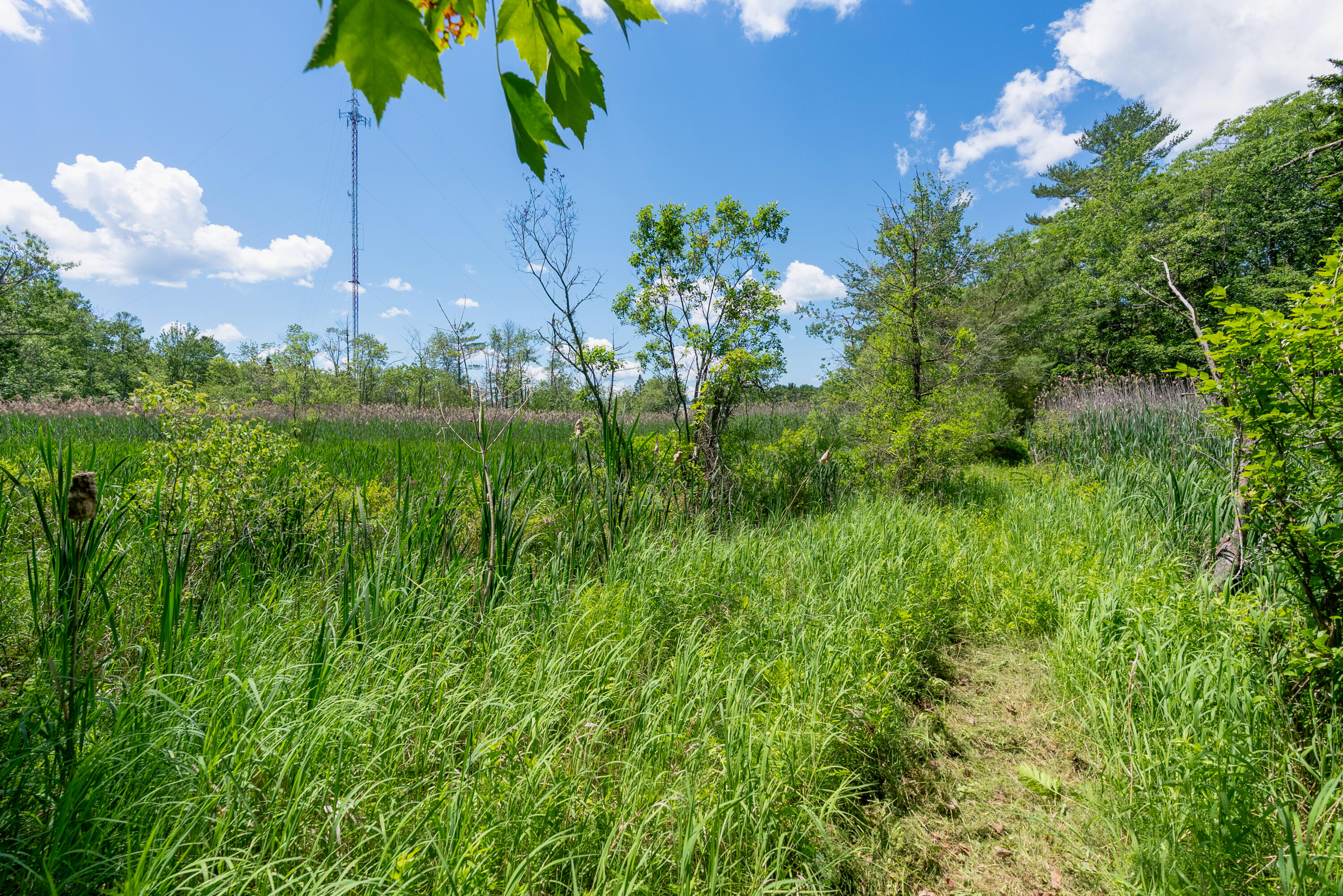 main property photo 55
