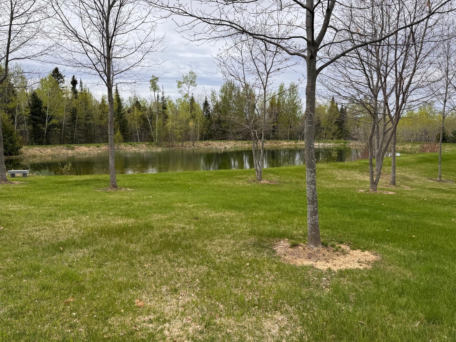 main property photo 20