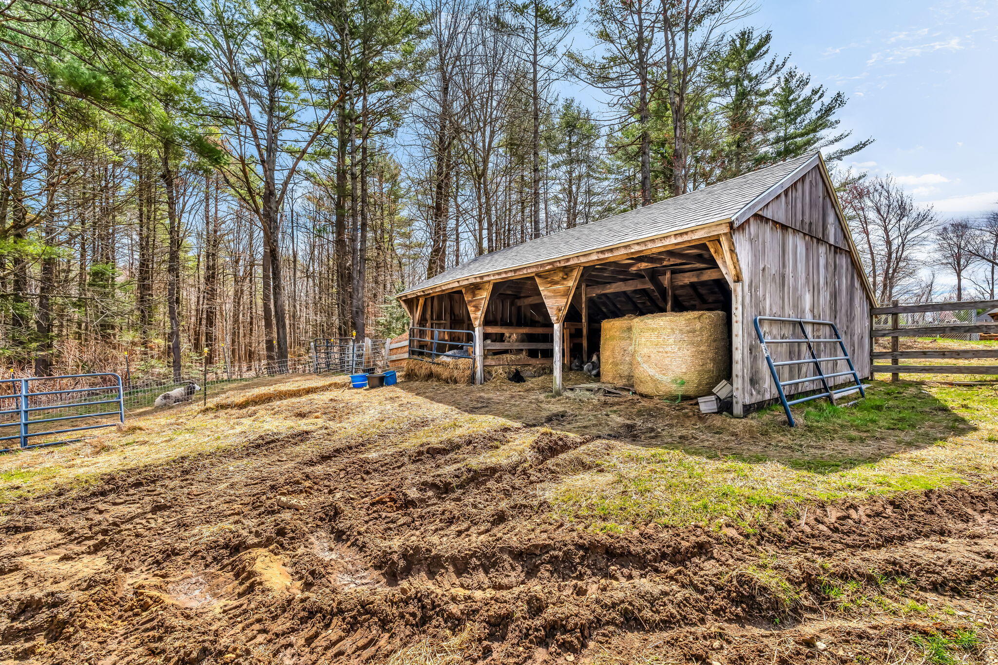 main property photo 20