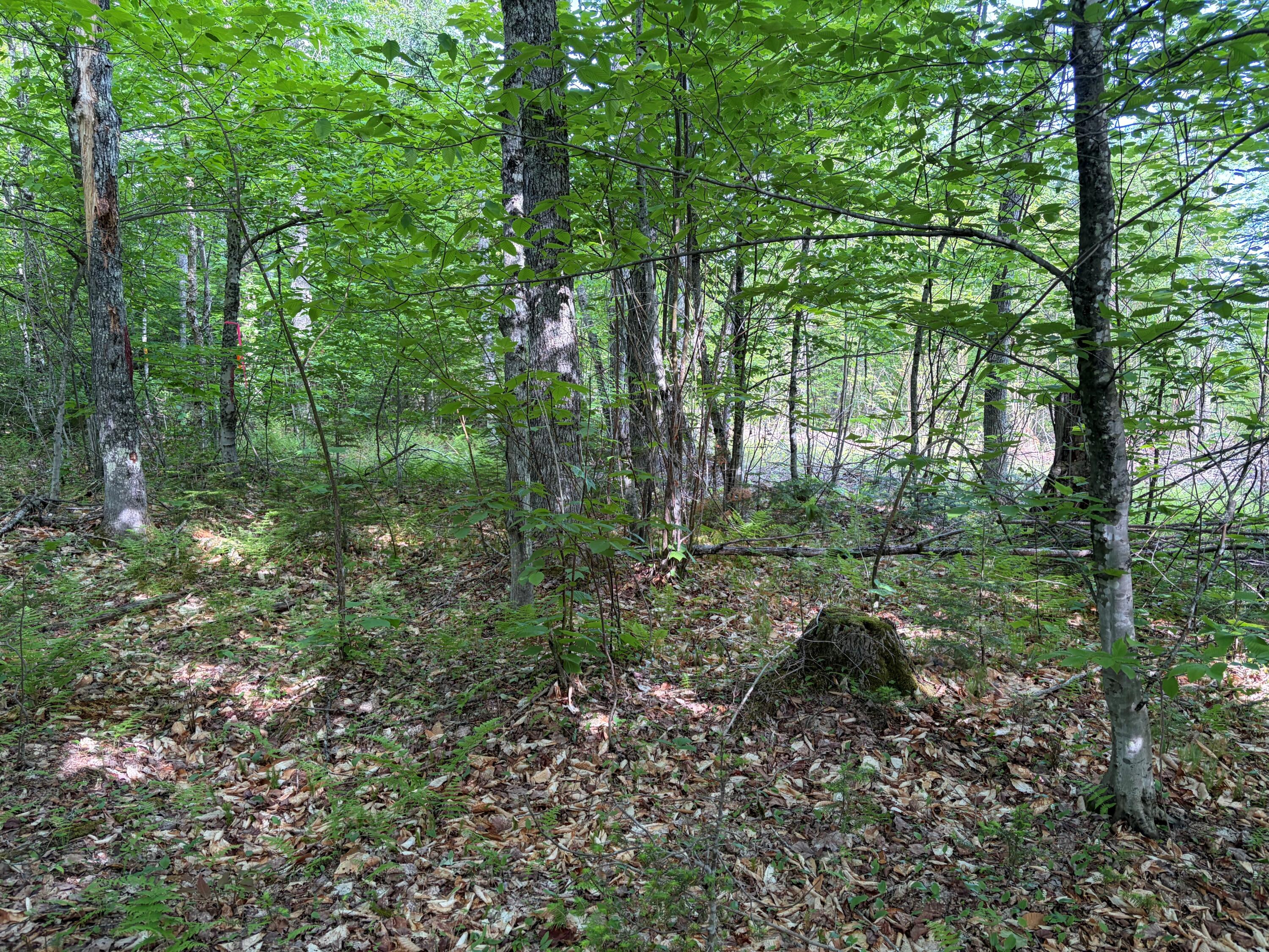 main property photo 21