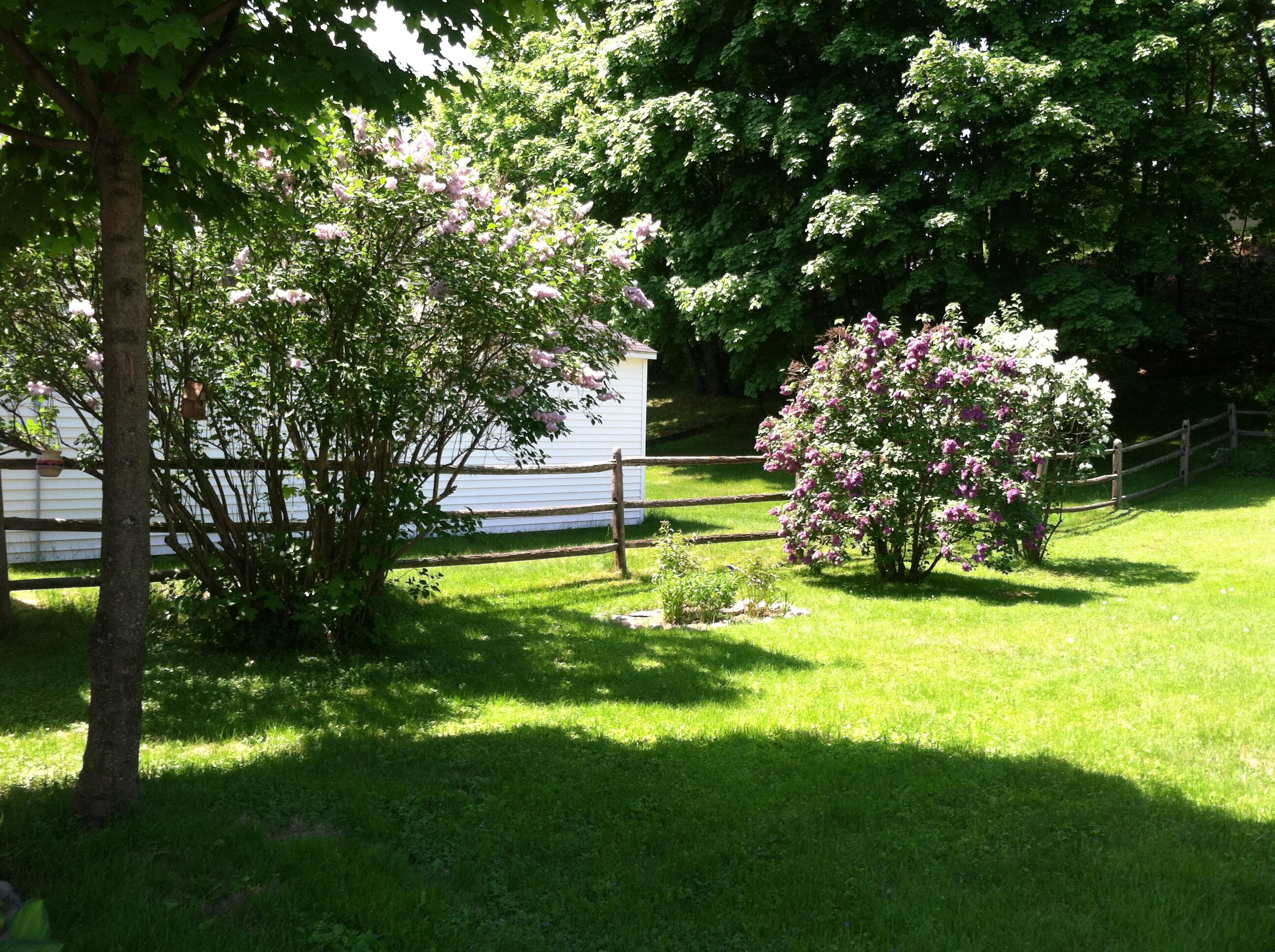 main property photo 45