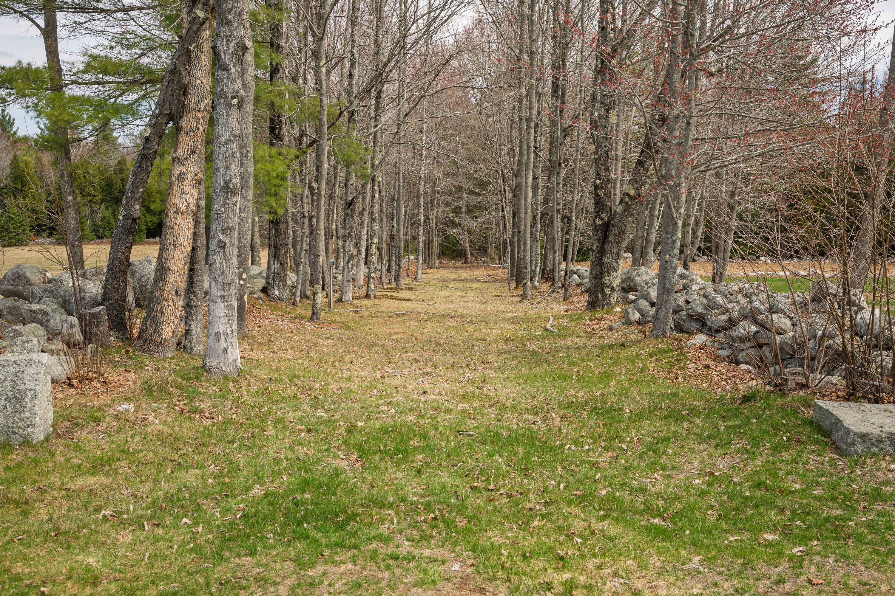 main property photo 35