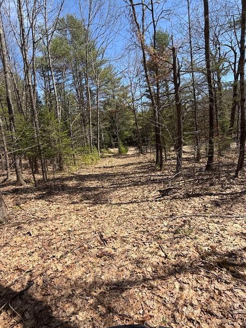 main property photo 17