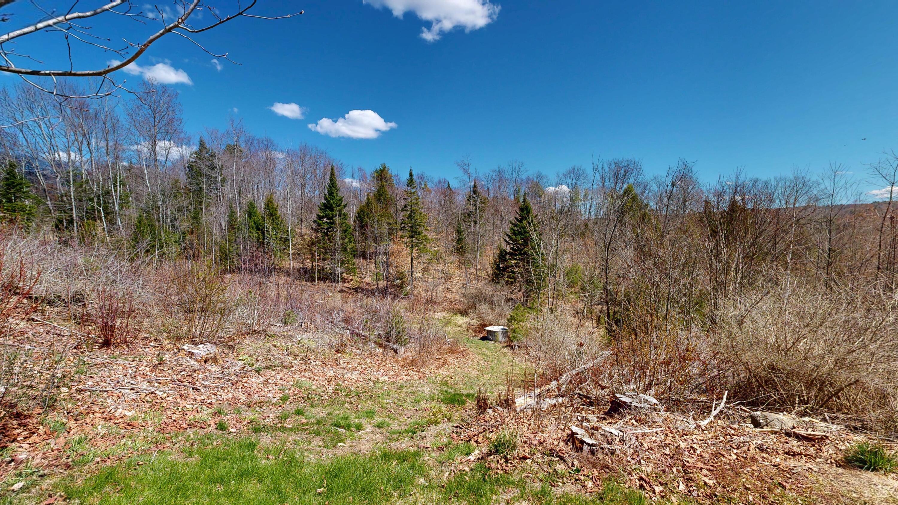 main property photo 58