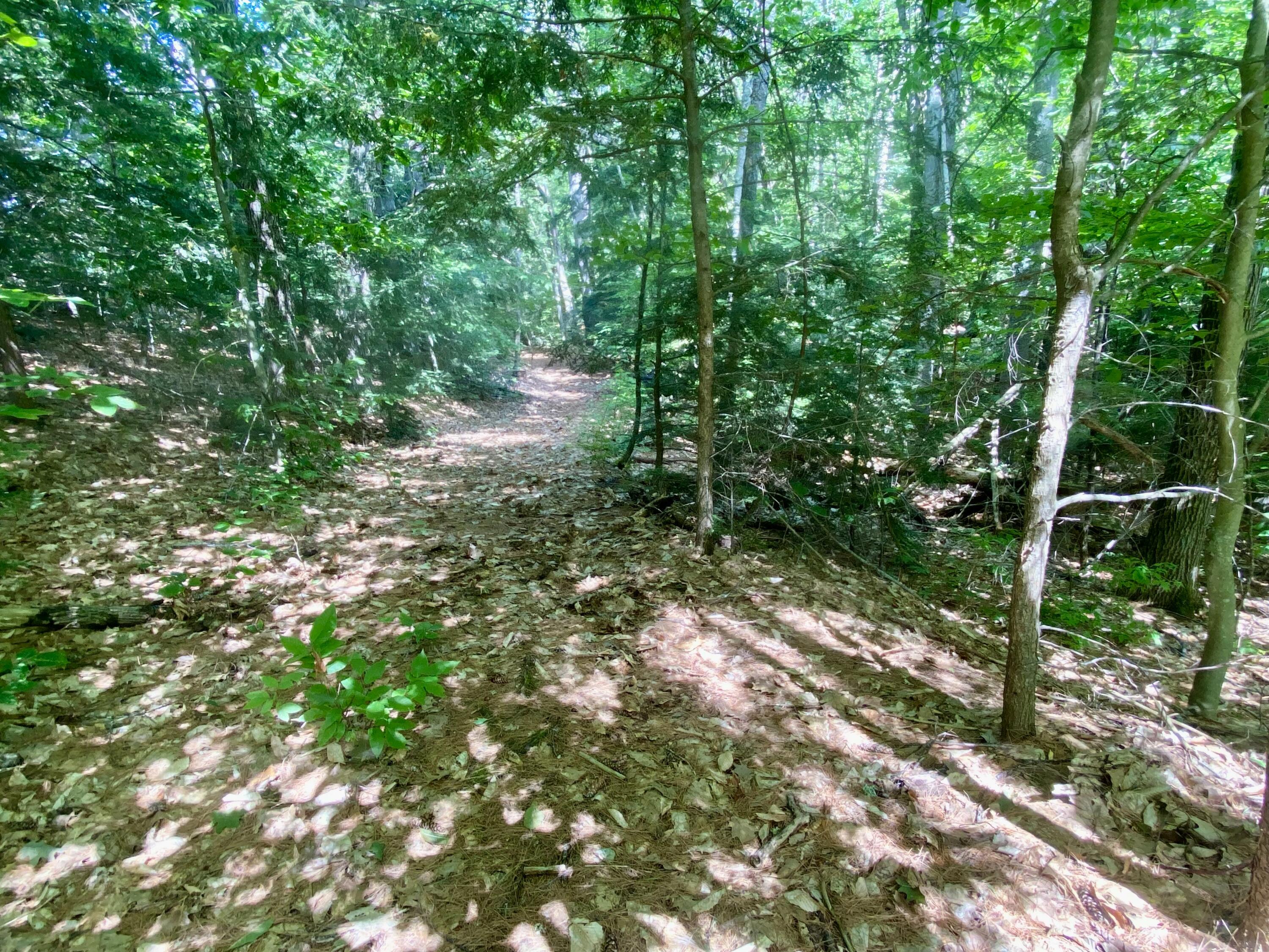 main property photo 53
