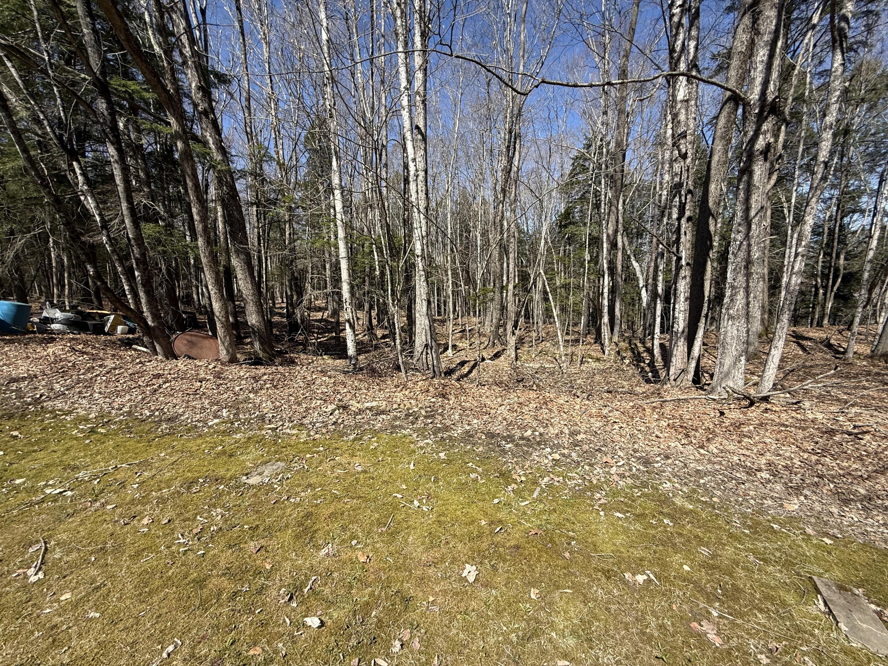 main property photo 15