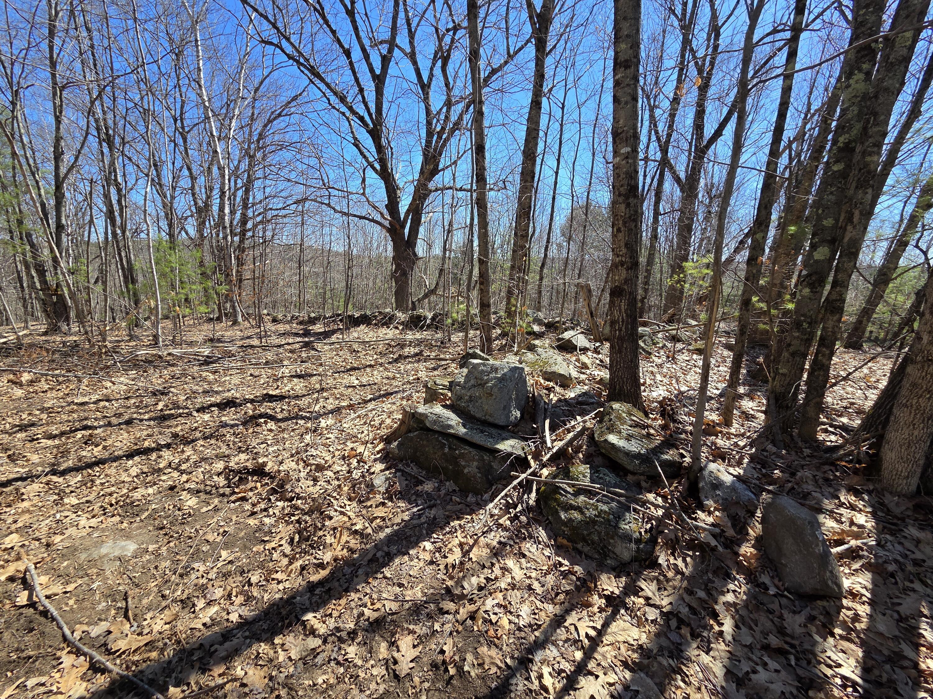 main property photo 44