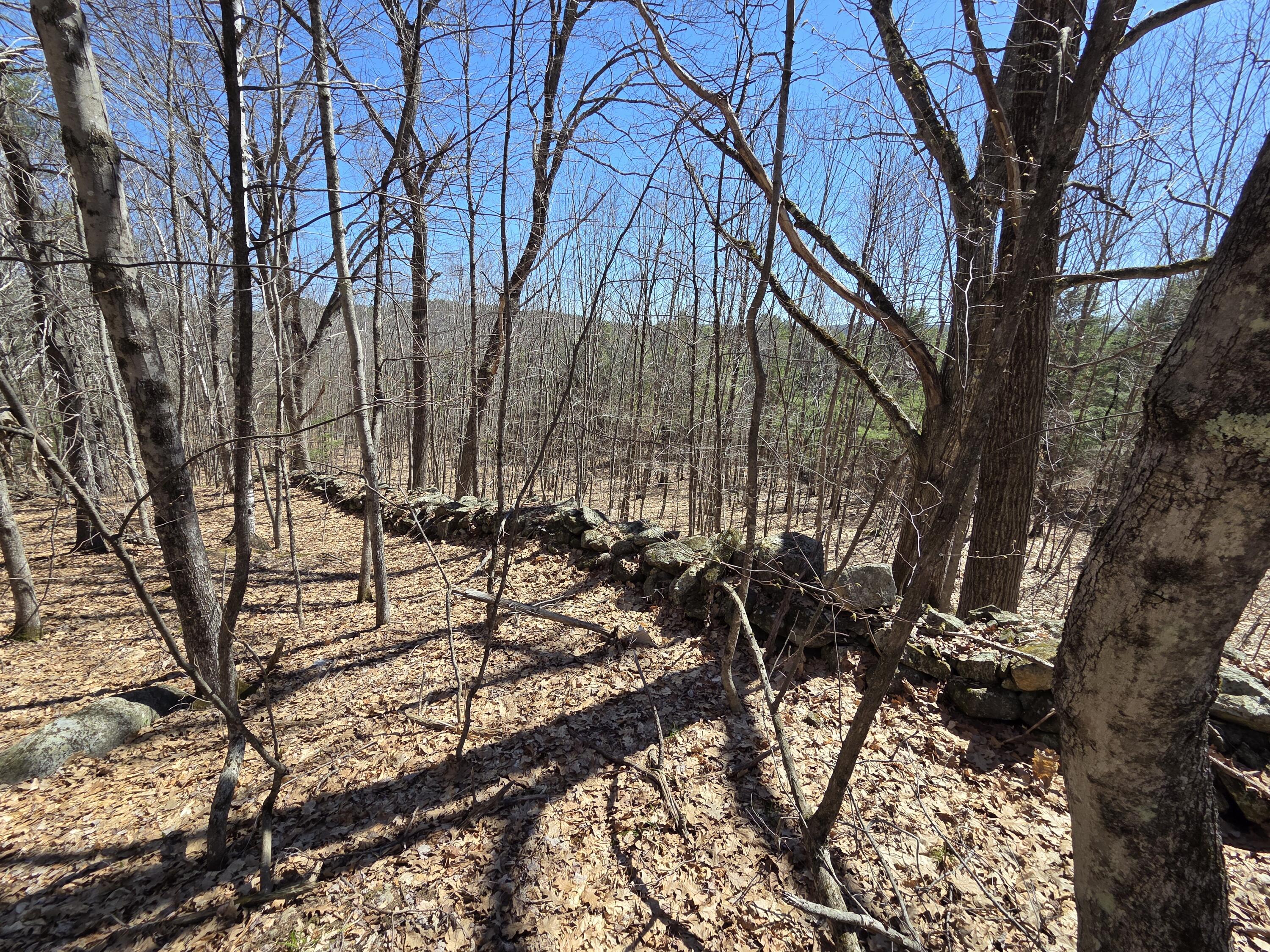 main property photo 47