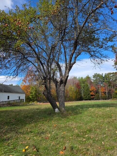 main property photo 7