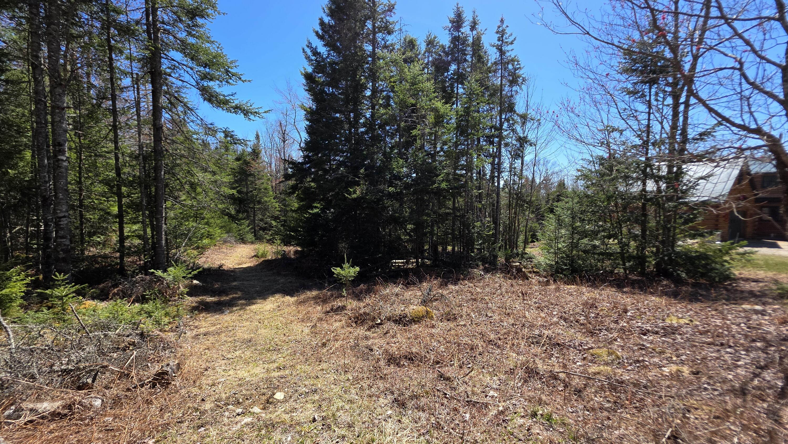 main property photo 47