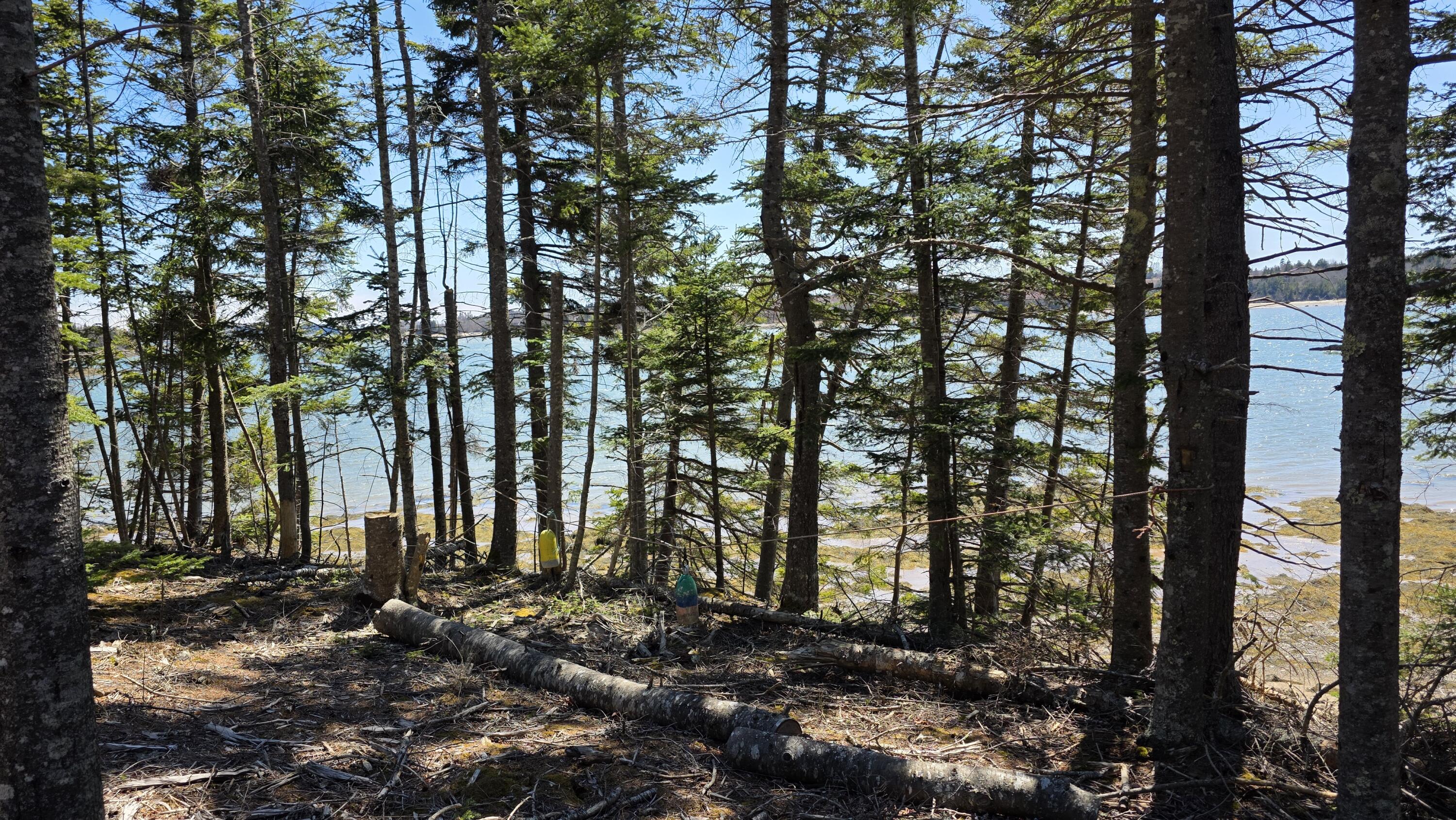 main property photo 51
