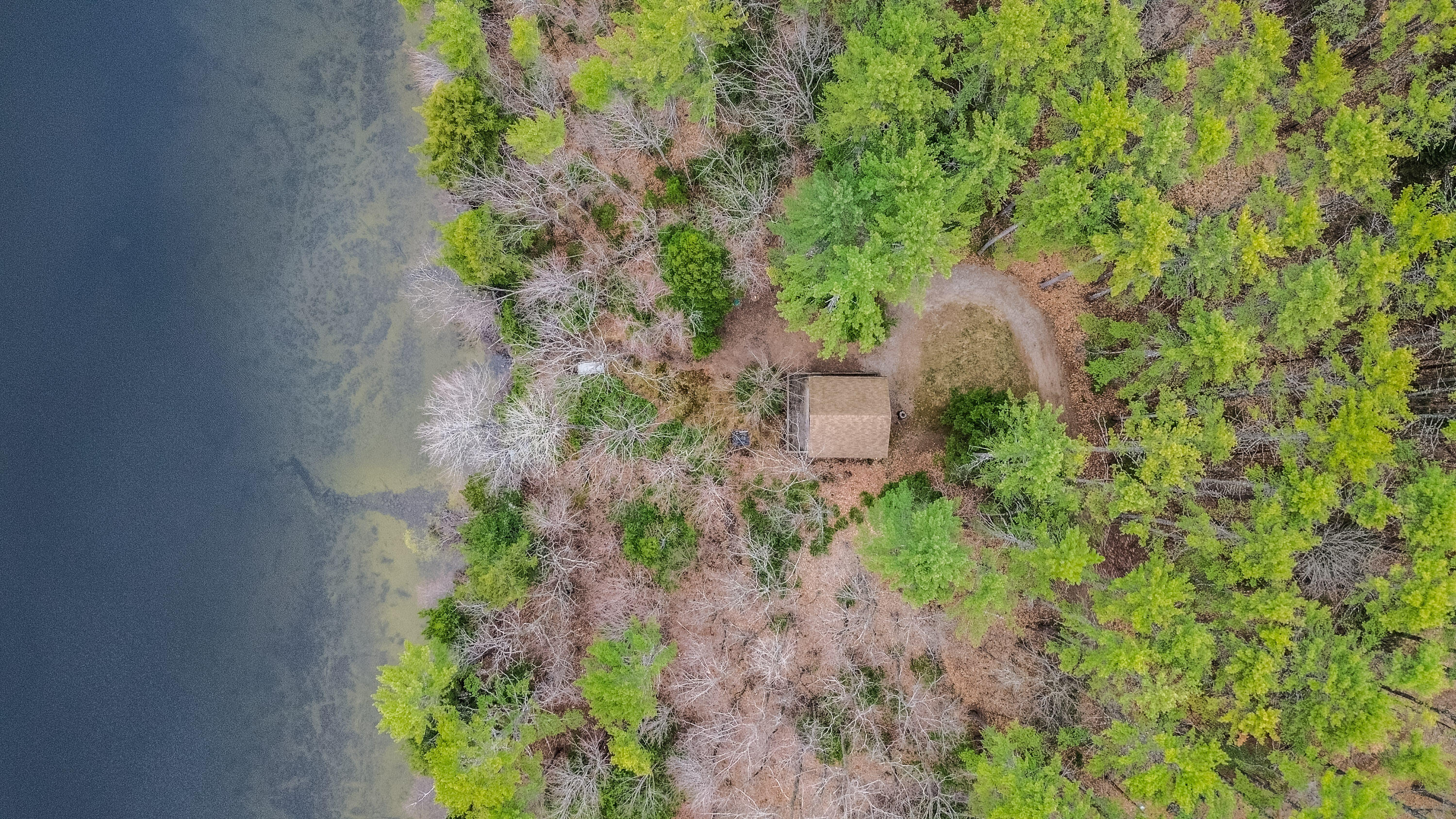 main property photo 67