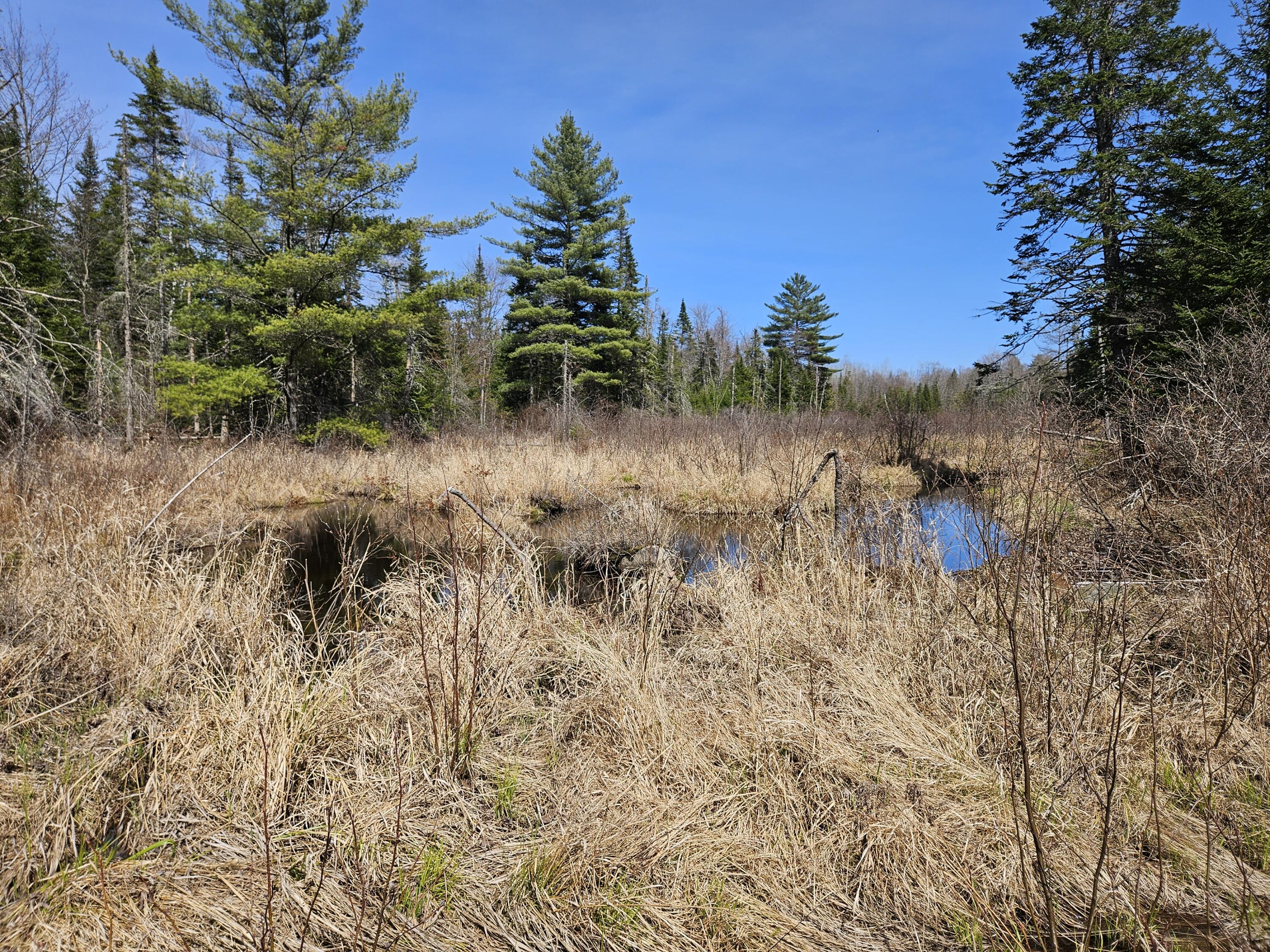 main property photo 76