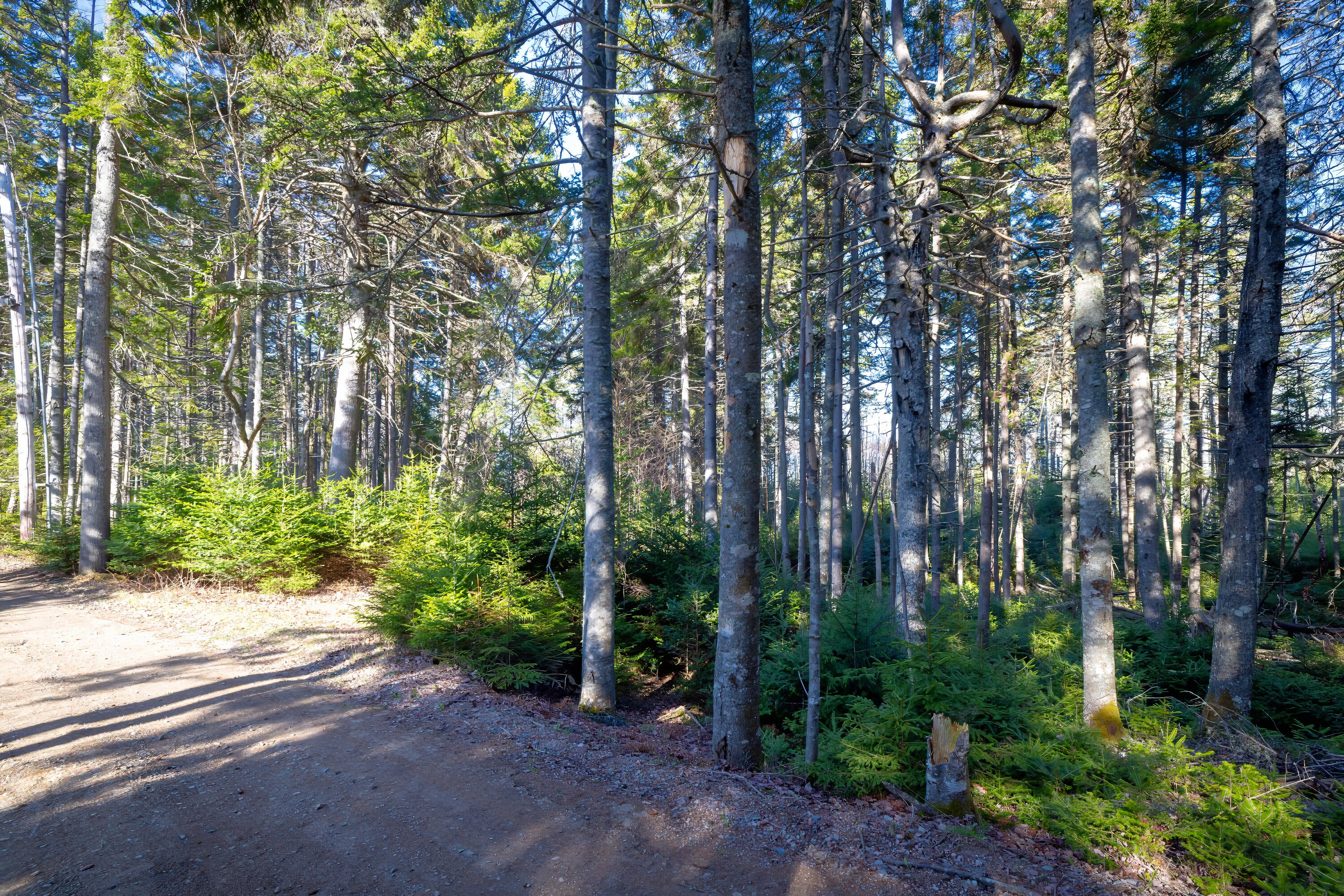 main property photo 10