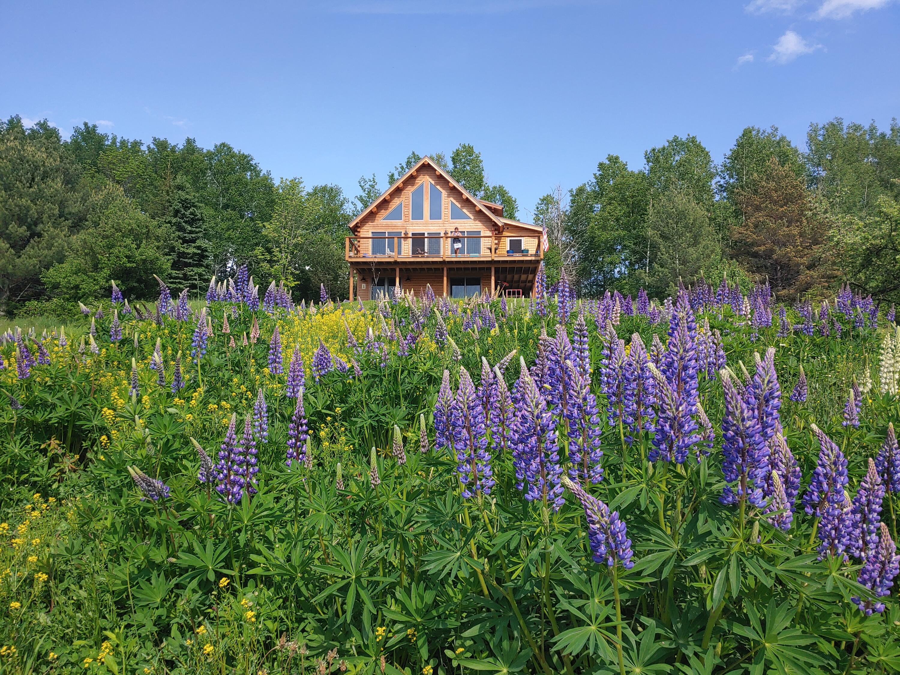 main property photo 73