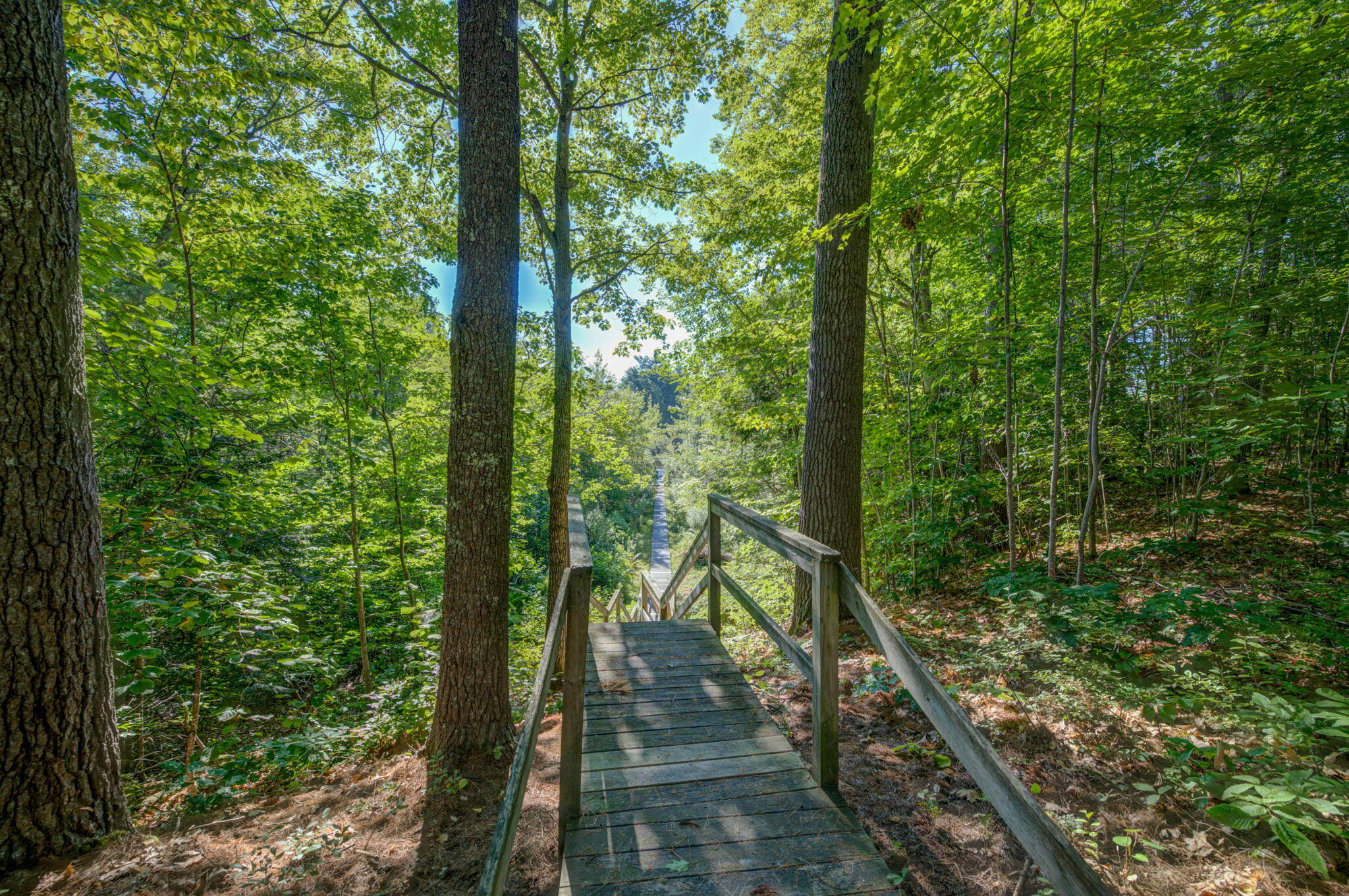 main property photo 74