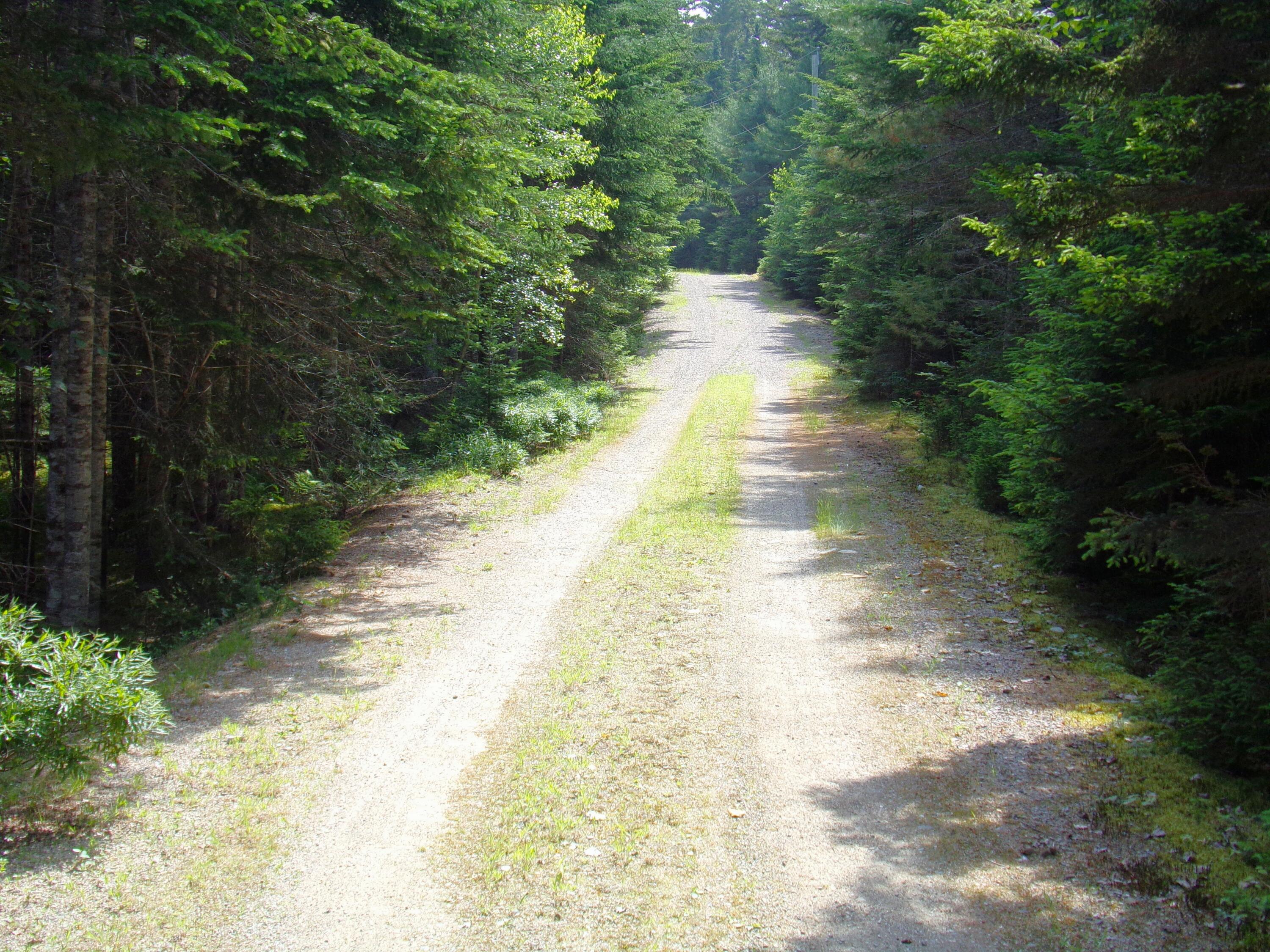 main property photo 47