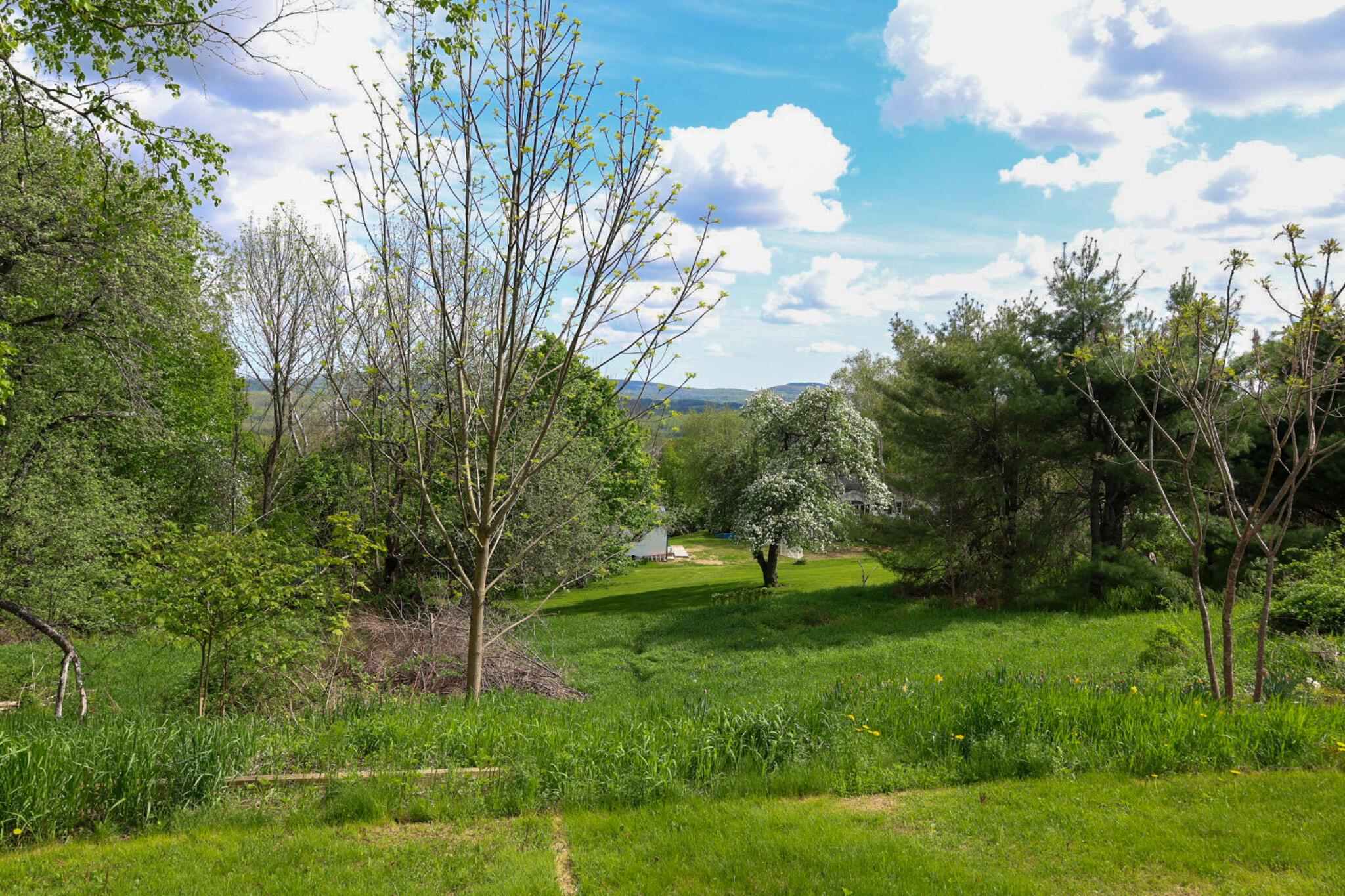 main property photo 107