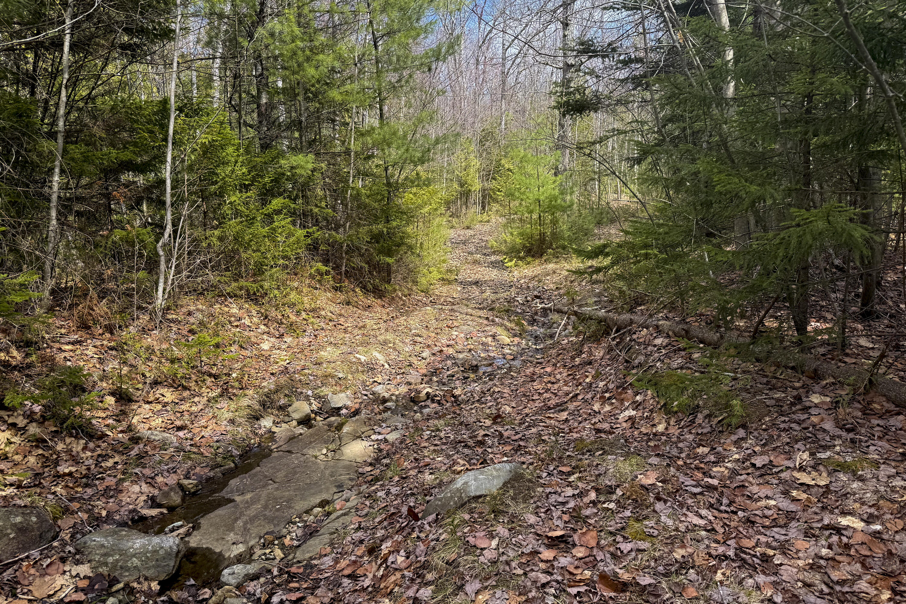 main property photo 5