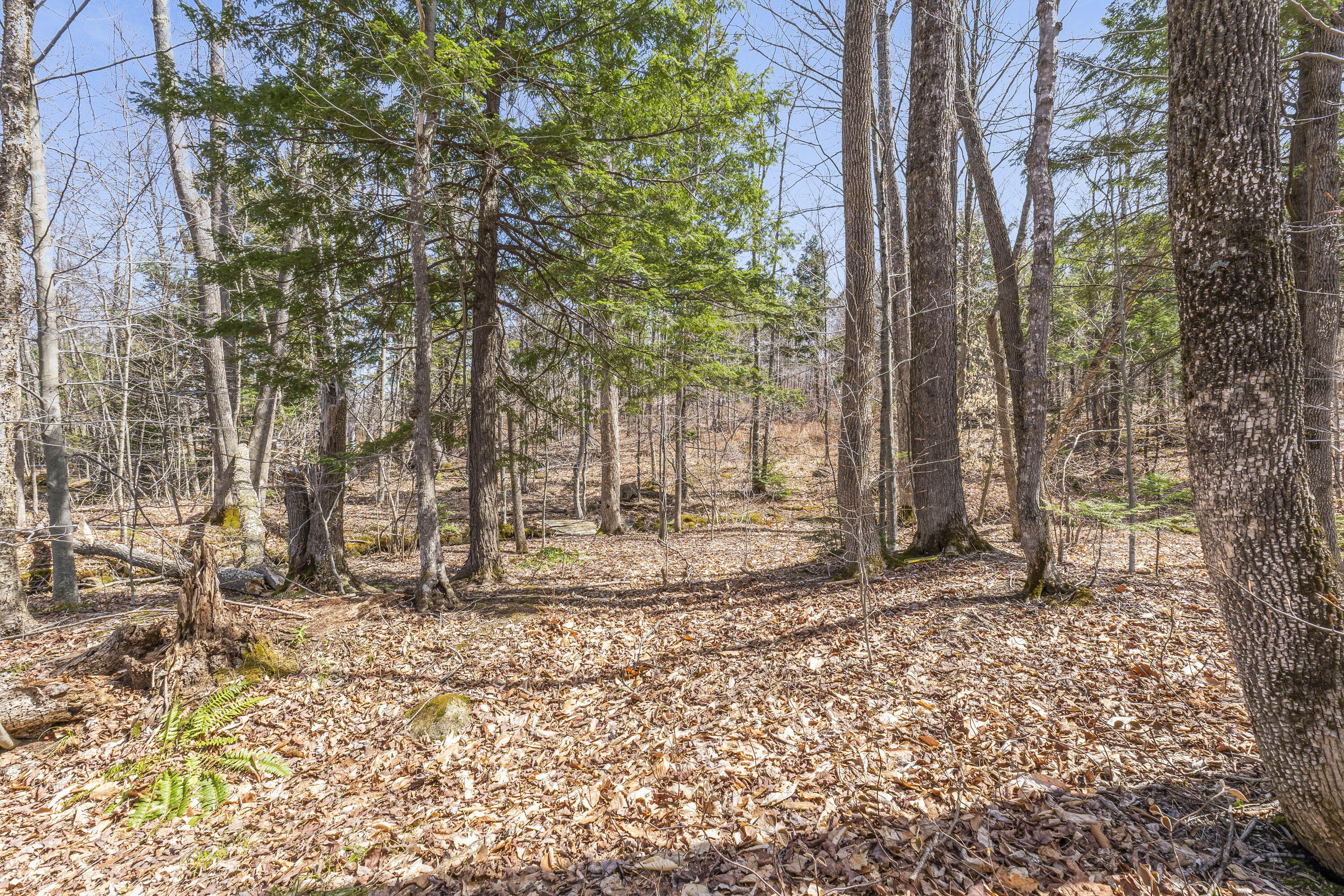 main property photo 27