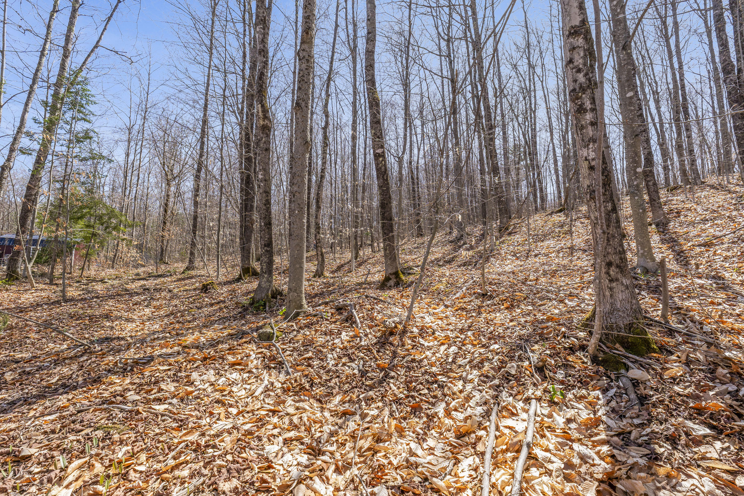 main property photo 37