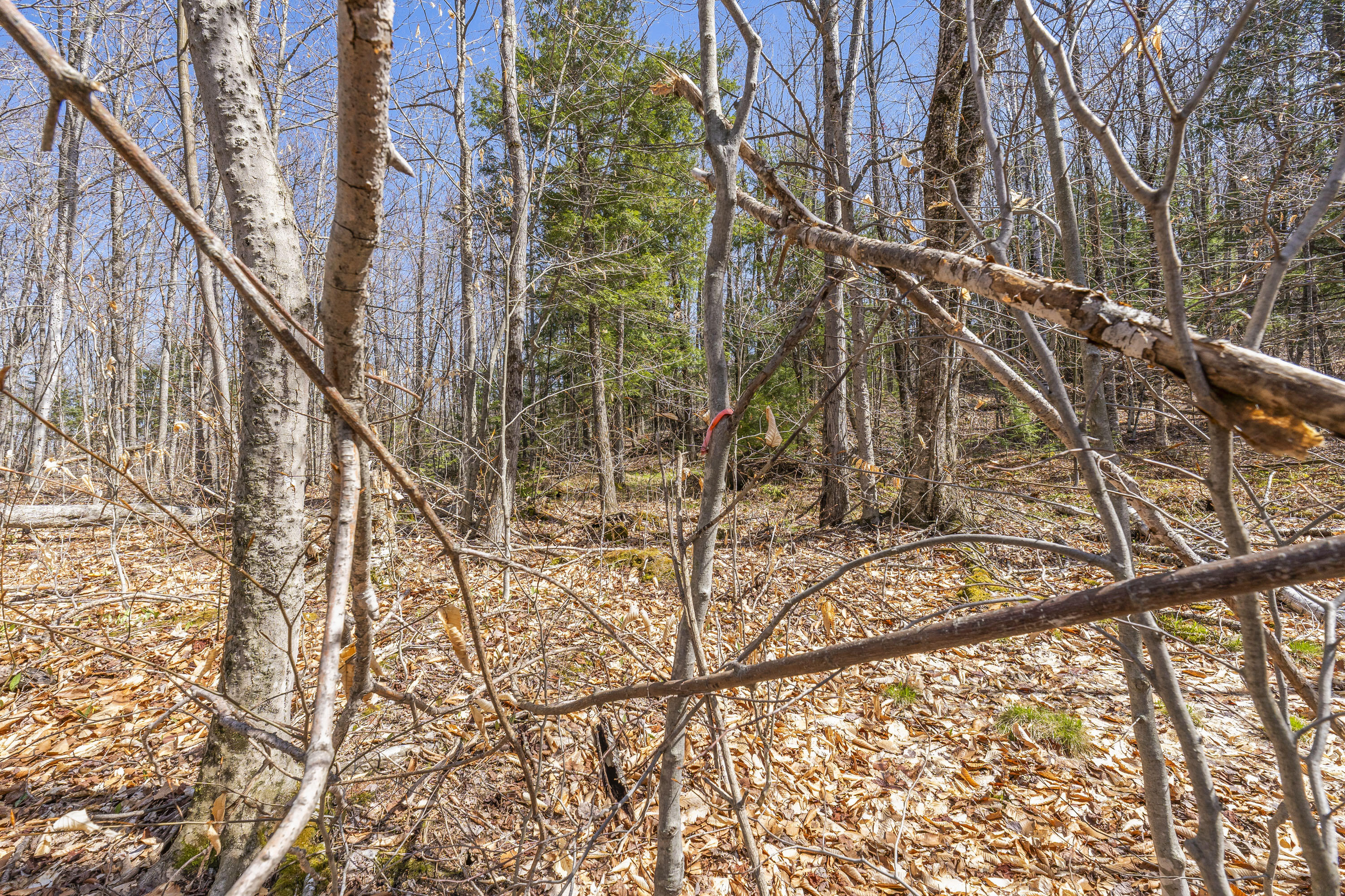 main property photo 44