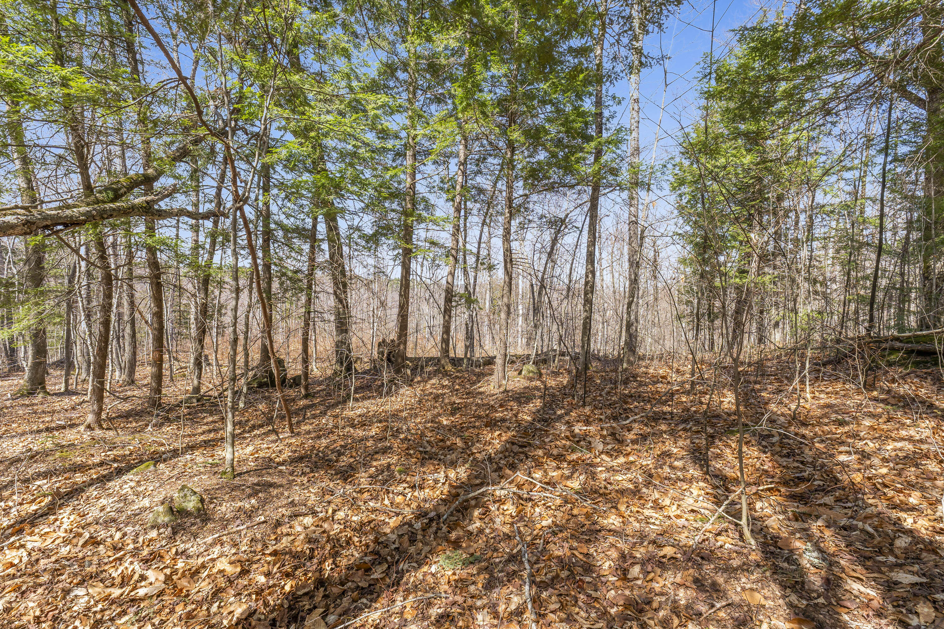 main property photo 48