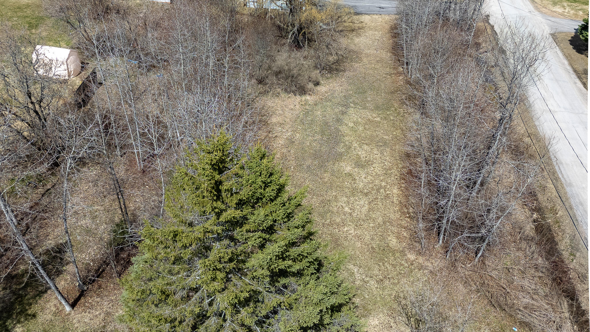 main property photo 61