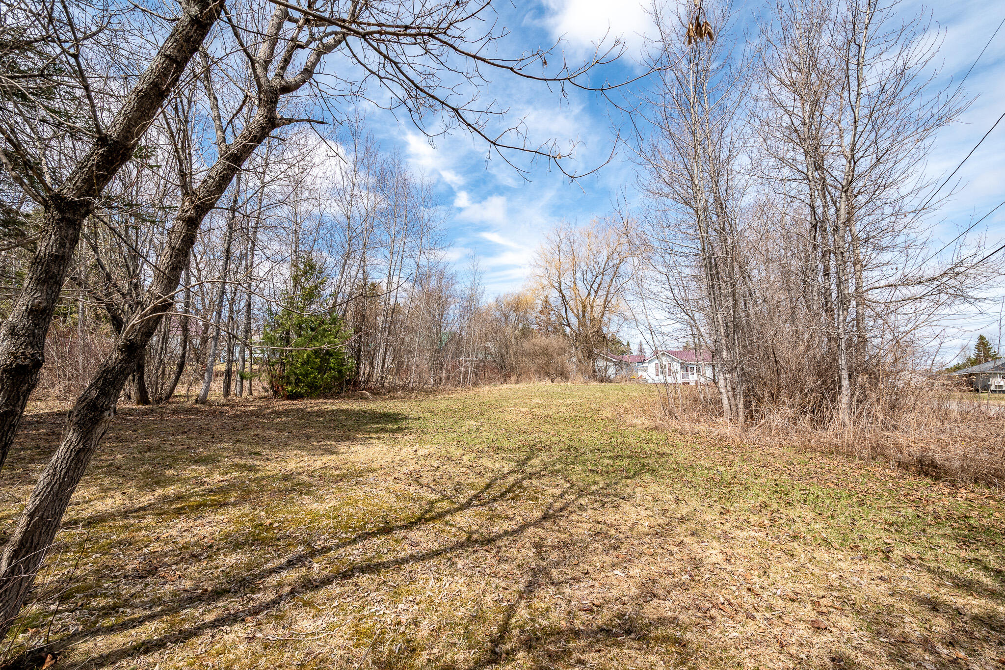 main property photo 62