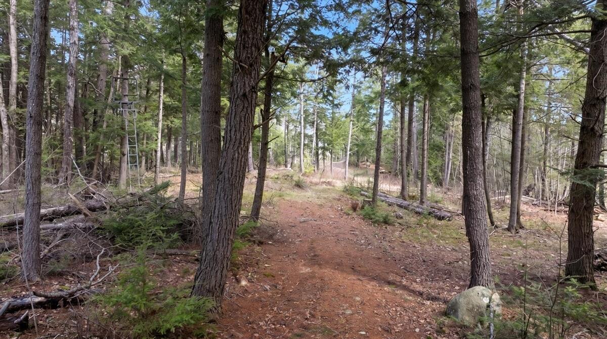 main property photo 8
