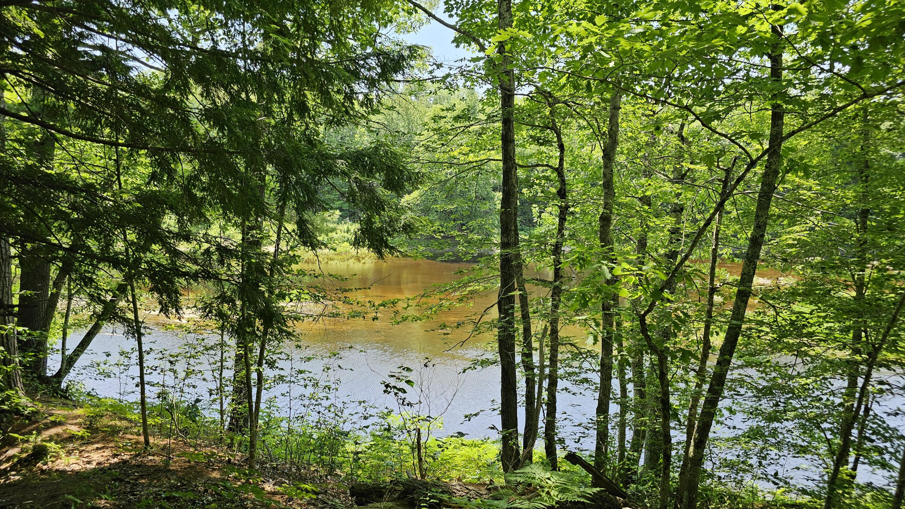 main property photo 45