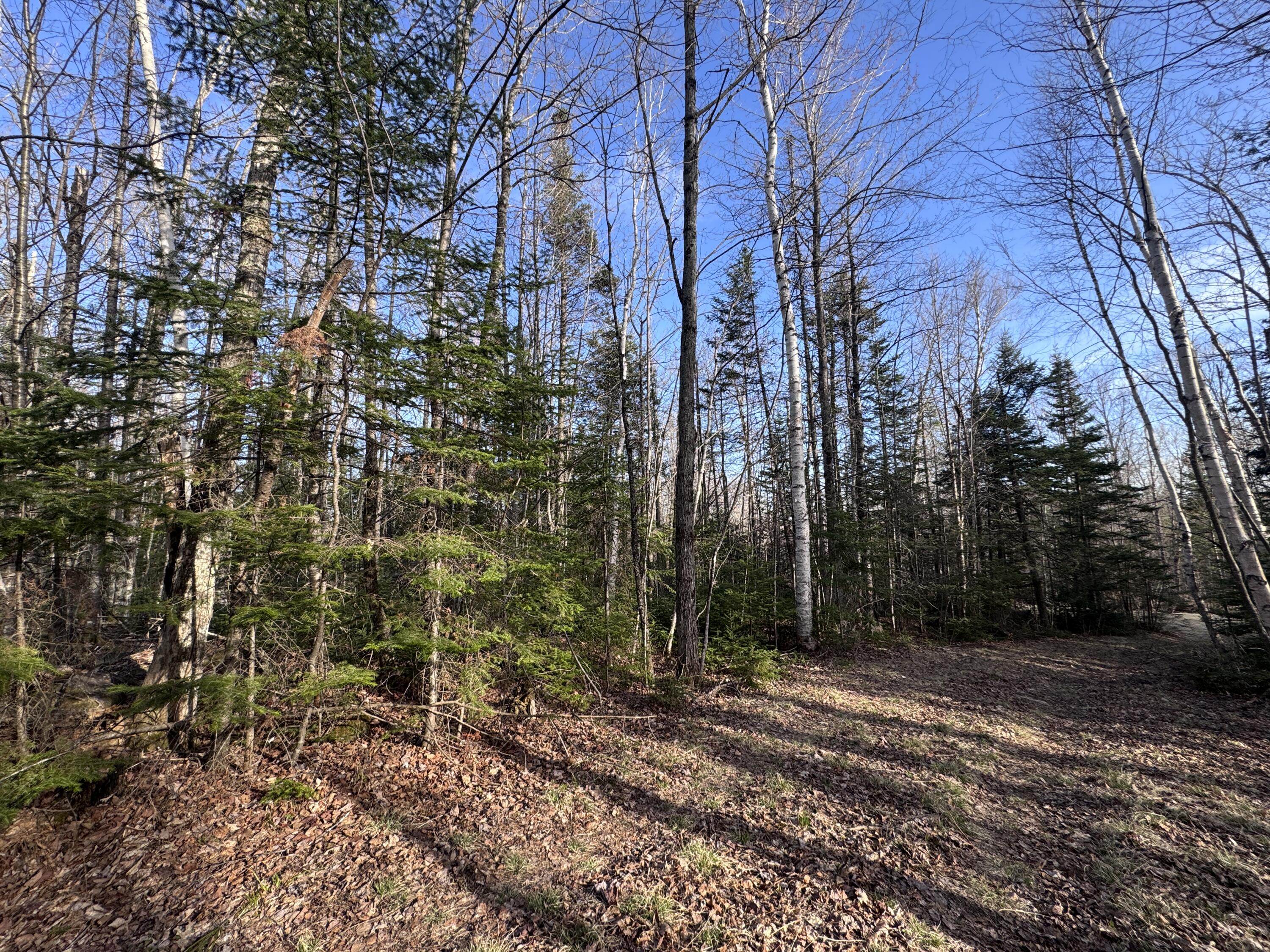 main property photo 22