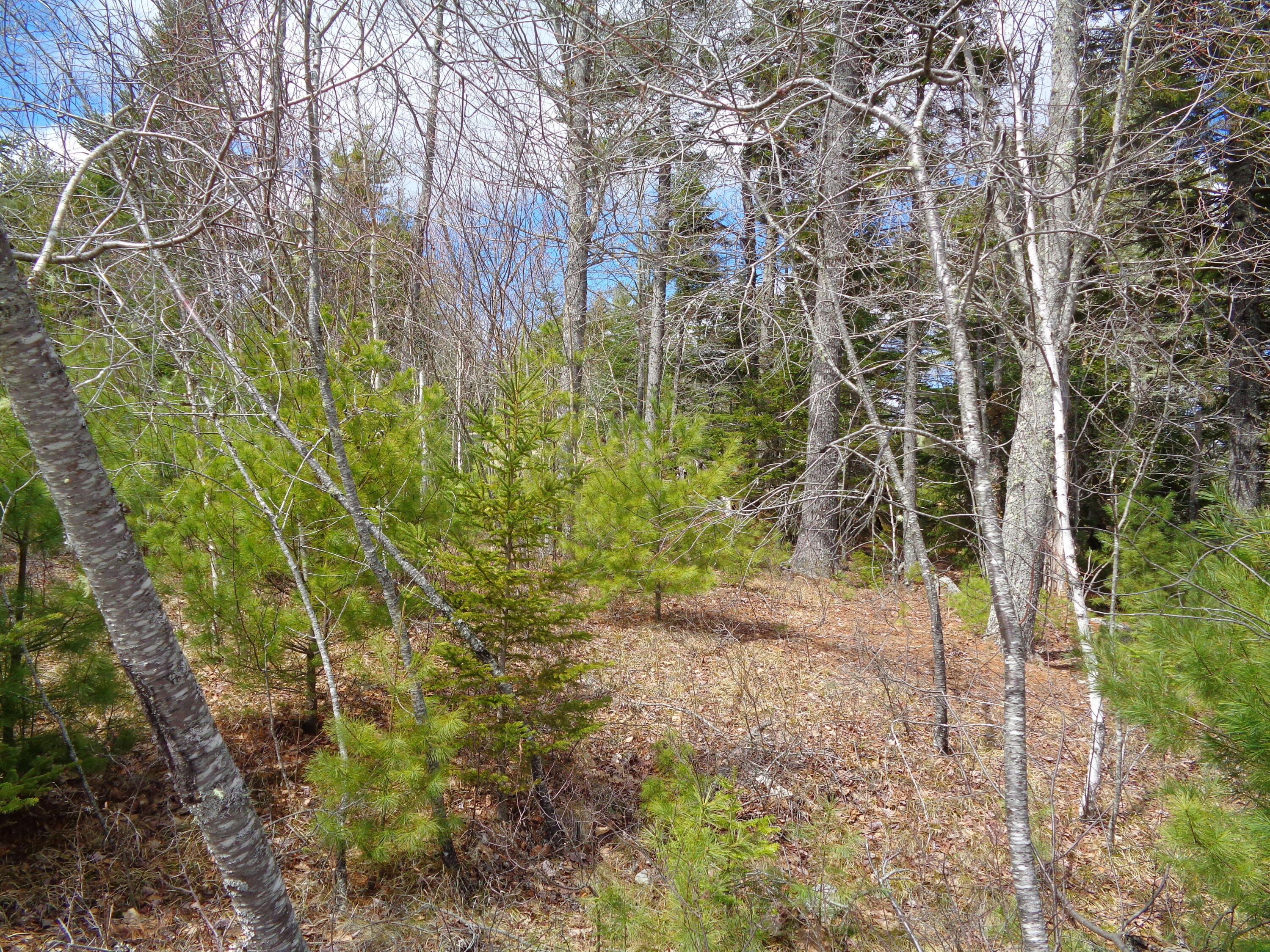 main property photo 13
