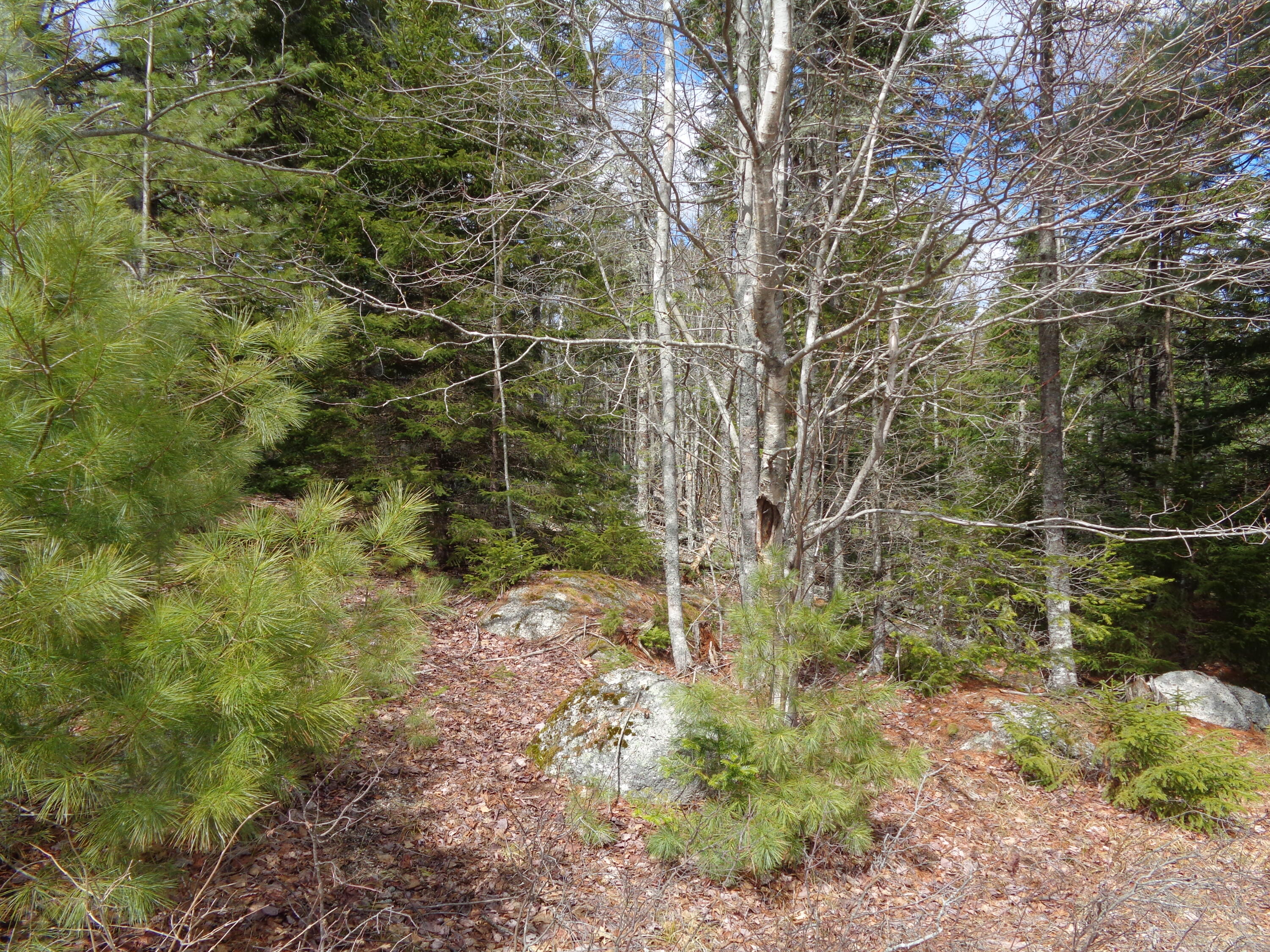 main property photo 15