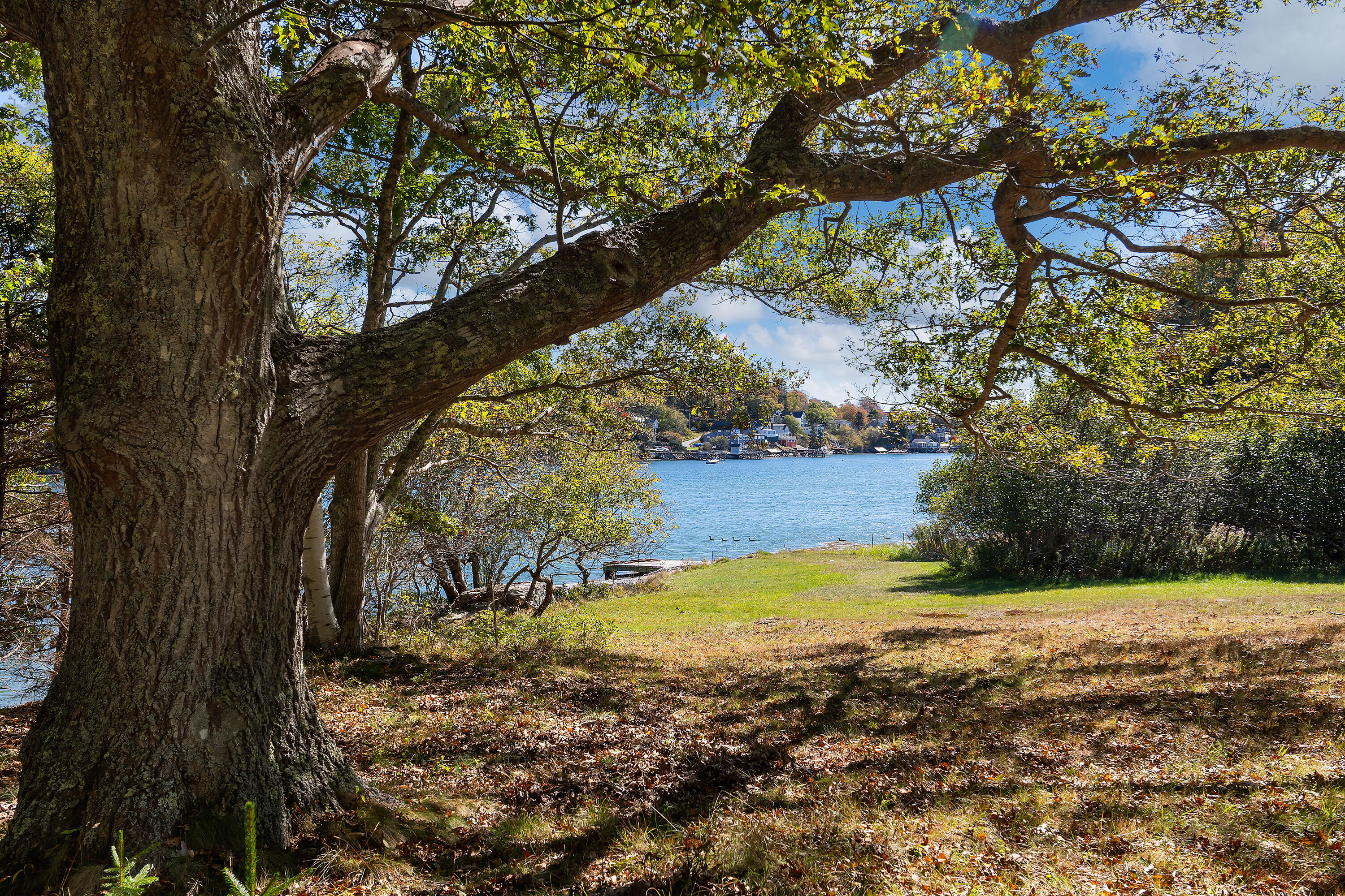 main property photo 107