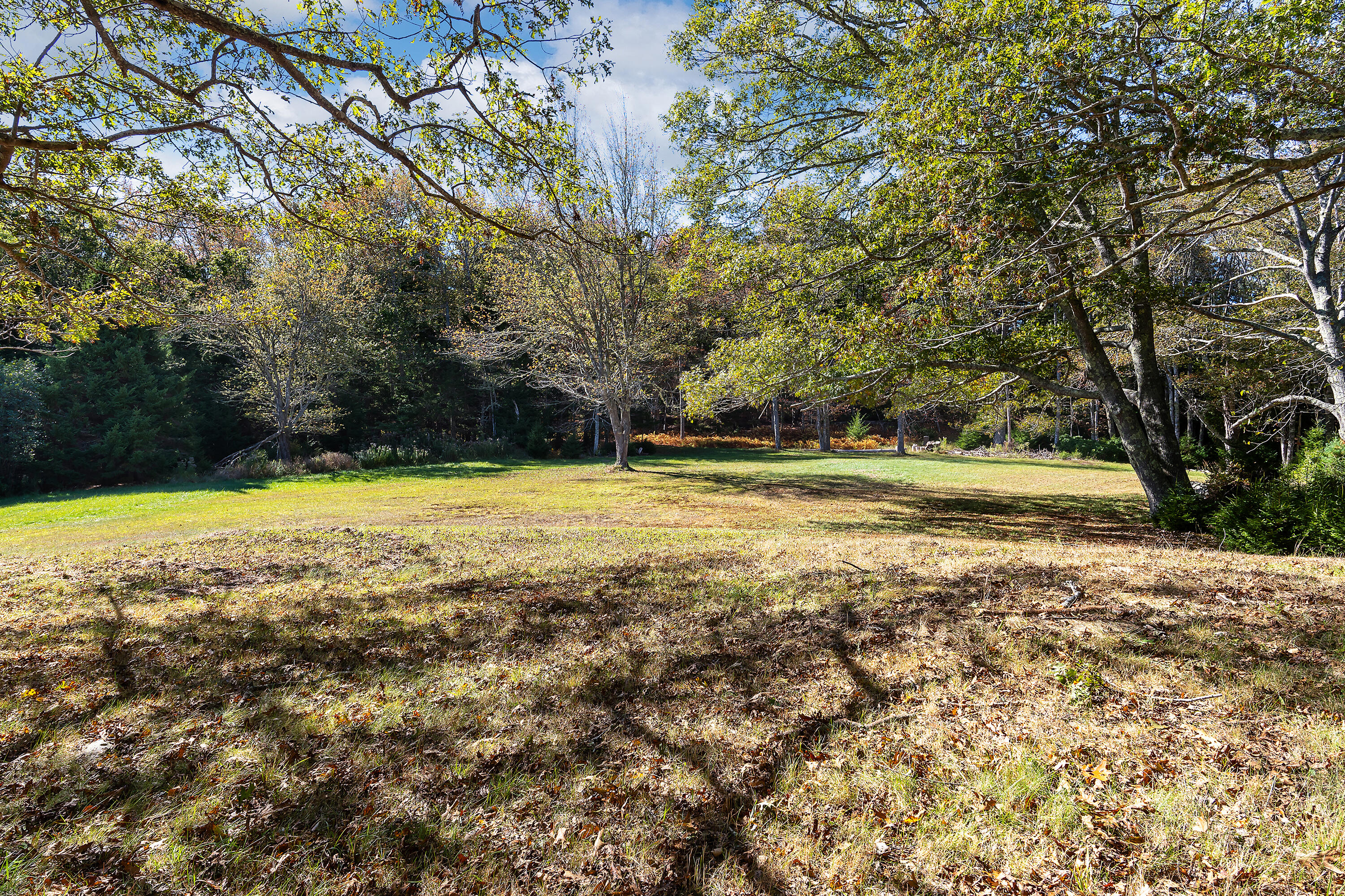 main property photo 113