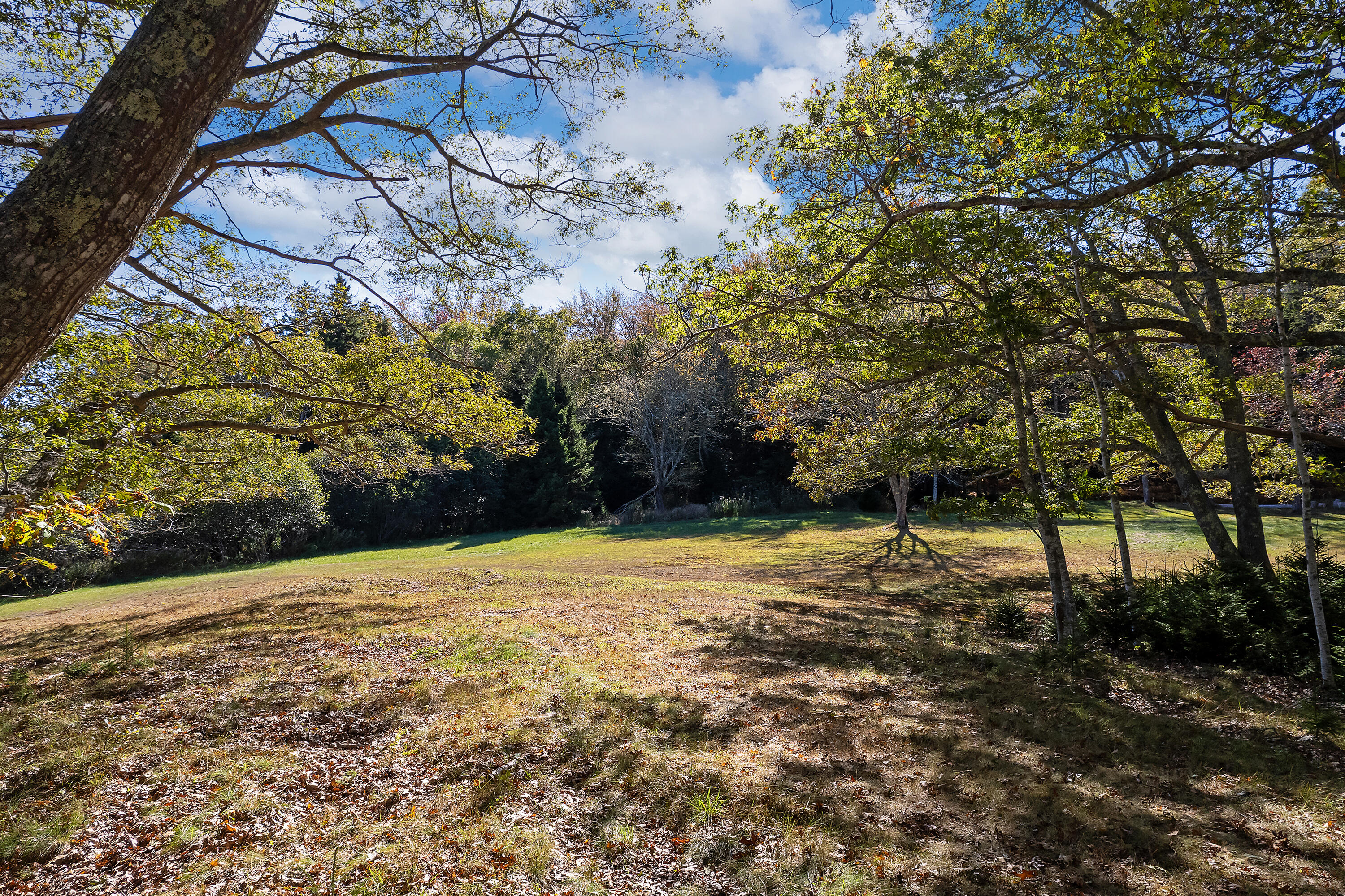 main property photo 114