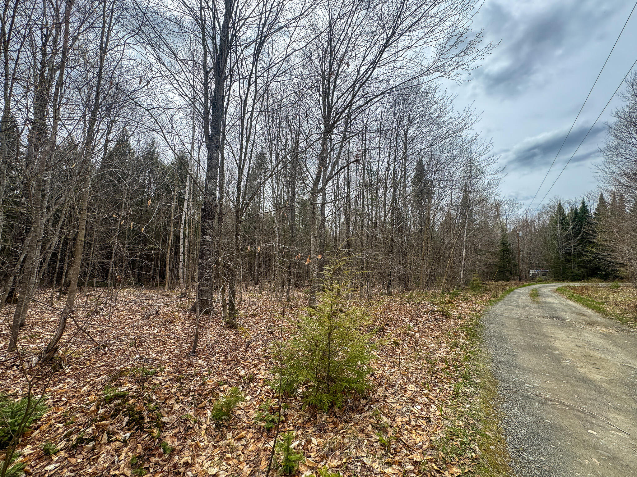 main property photo 6