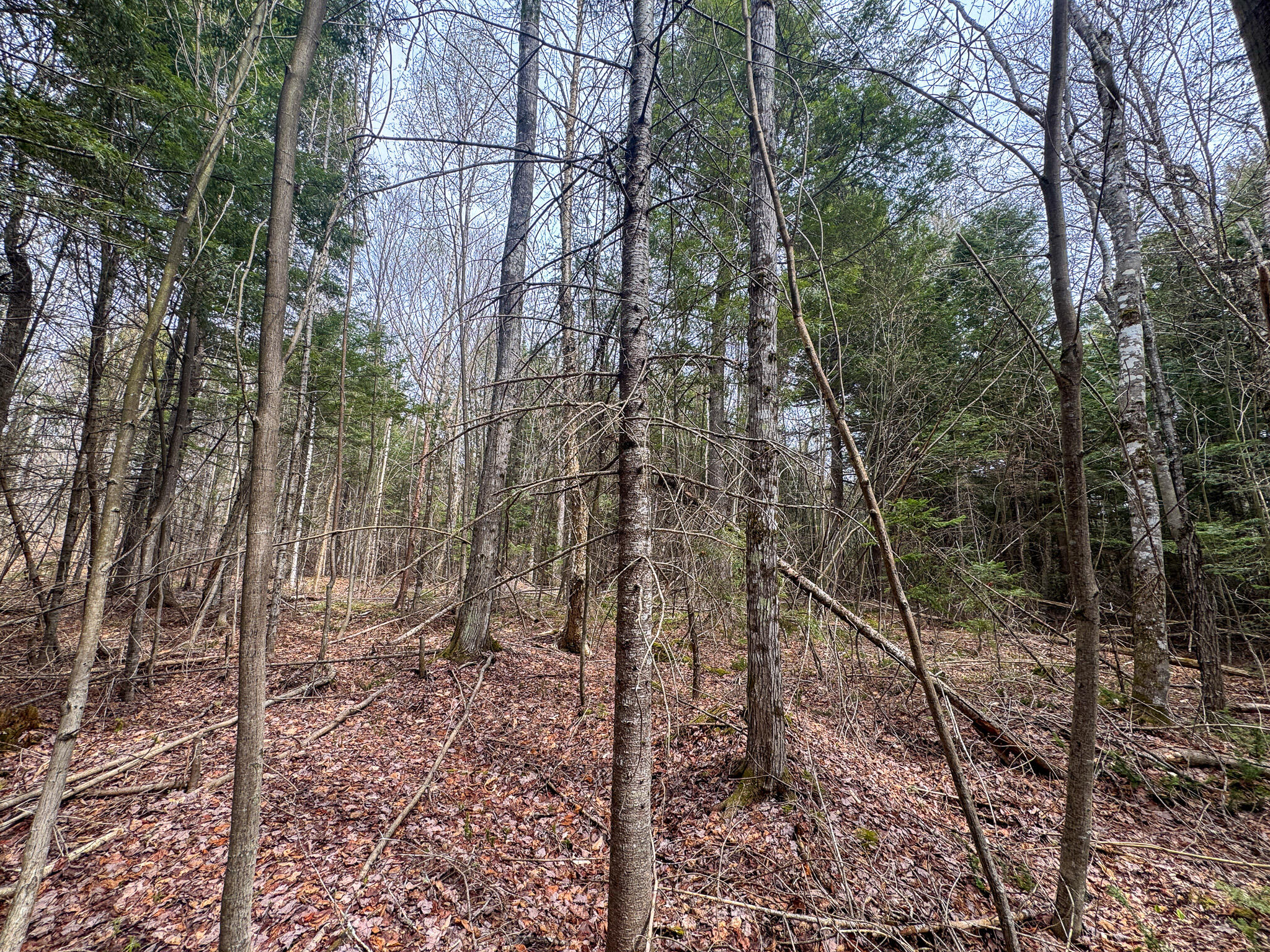 main property photo 8