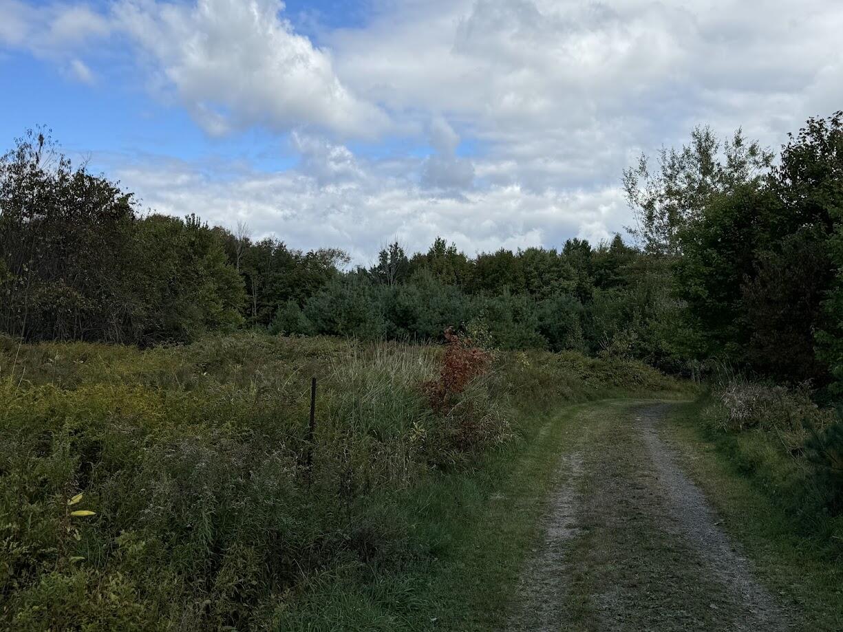 main property photo 52