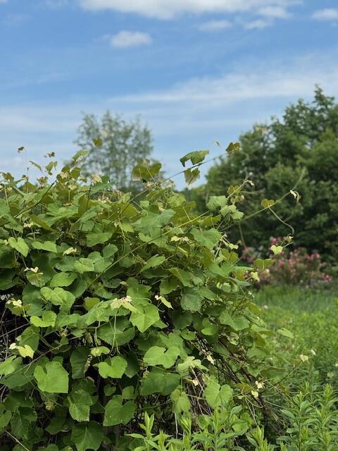 main property photo 70